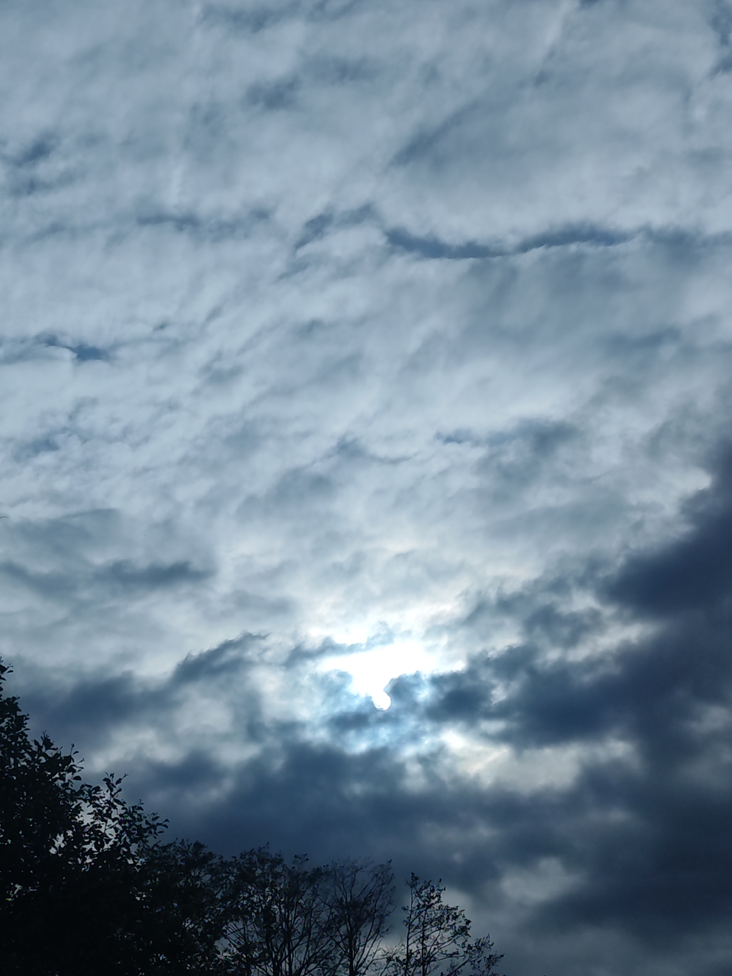 The image presents a sky filled with altocumulus clouds. Some of the clouds are dark, and the sun is partially visible behind the clouds. In the foreground, there are trees with bare branches and a few leaves. The location is likely in Chaikovsky, Russia, based on the prompt. The scene appears to be a cloudy day with some sunlight peeking through the cloud cover.