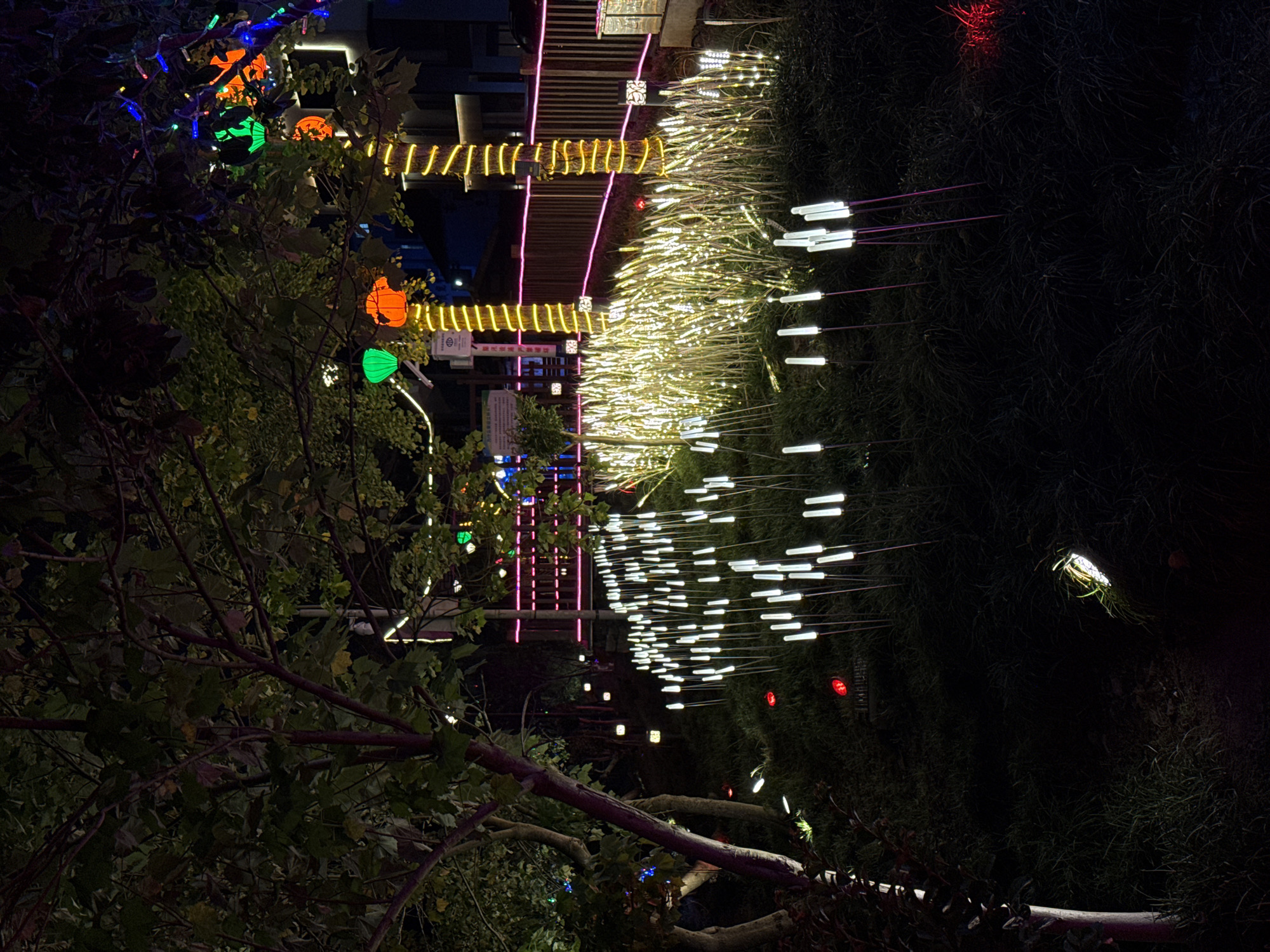 A nighttime scene in Wulingyuan, China, exhibits illuminated decorations amidst greenery. On the left, tree branches frame the view, adorned with colorful, spherical lanterns emitting green, orange, and blue light. The upper portion reveals architectural elements decorated with horizontal yellow and purple light fixtures. A large patch of grass to the right is speckled with thin, white, rod-like lights, creating a dense display that extends into the darkness. Dim red lights are also interspersed within the grass.