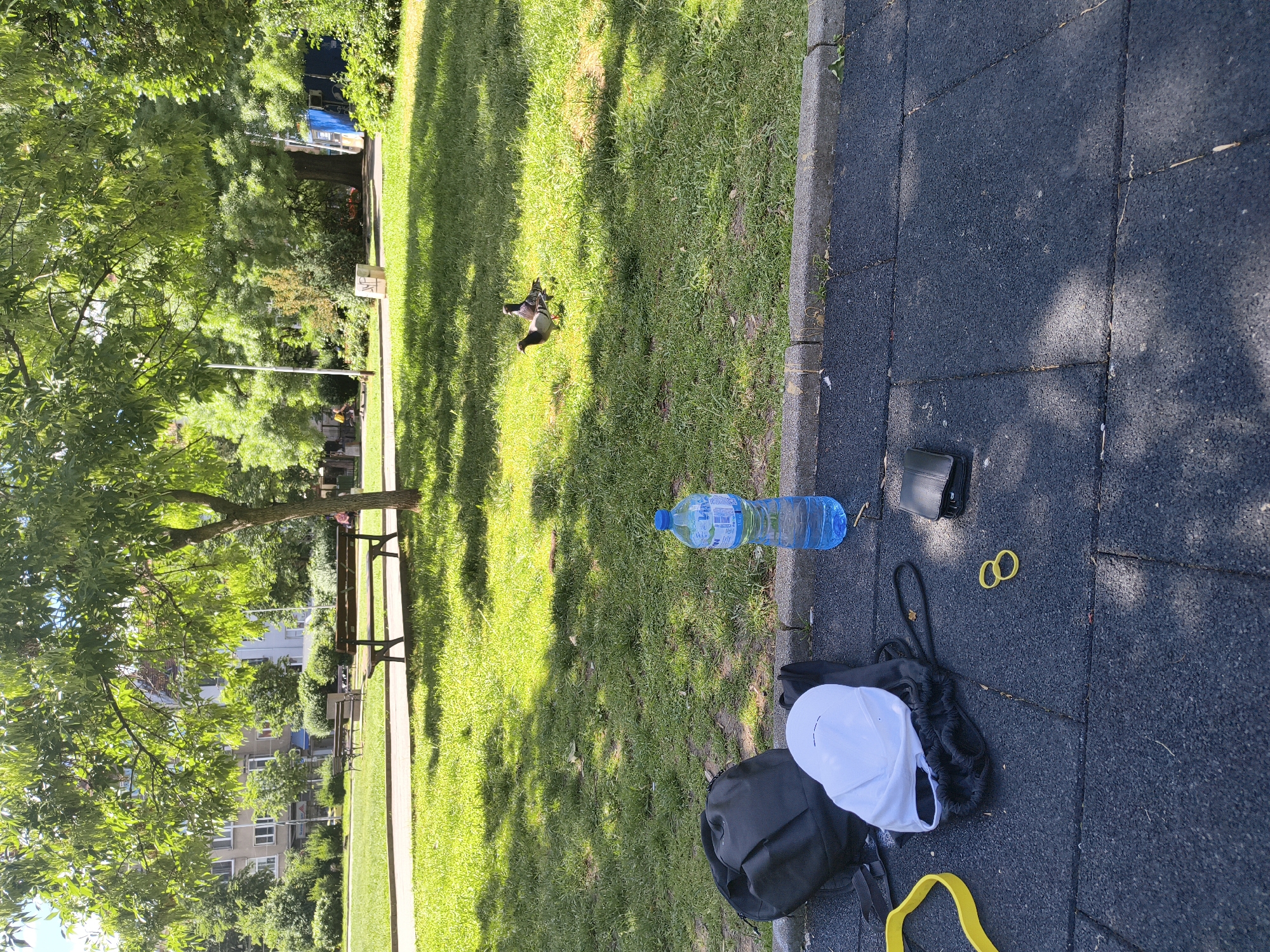 The image depicts a scene in a park in Sofia, Bulgaria. The environment includes grass, trees, and a bench.
Objects present:
* A bottle of water
* A wallet
* Two rubber bands
* A backpack
* A white cap
Subjects:
* Two birds, possibly pigeons, are visible on the grass.
There are no people actively visible in the image.