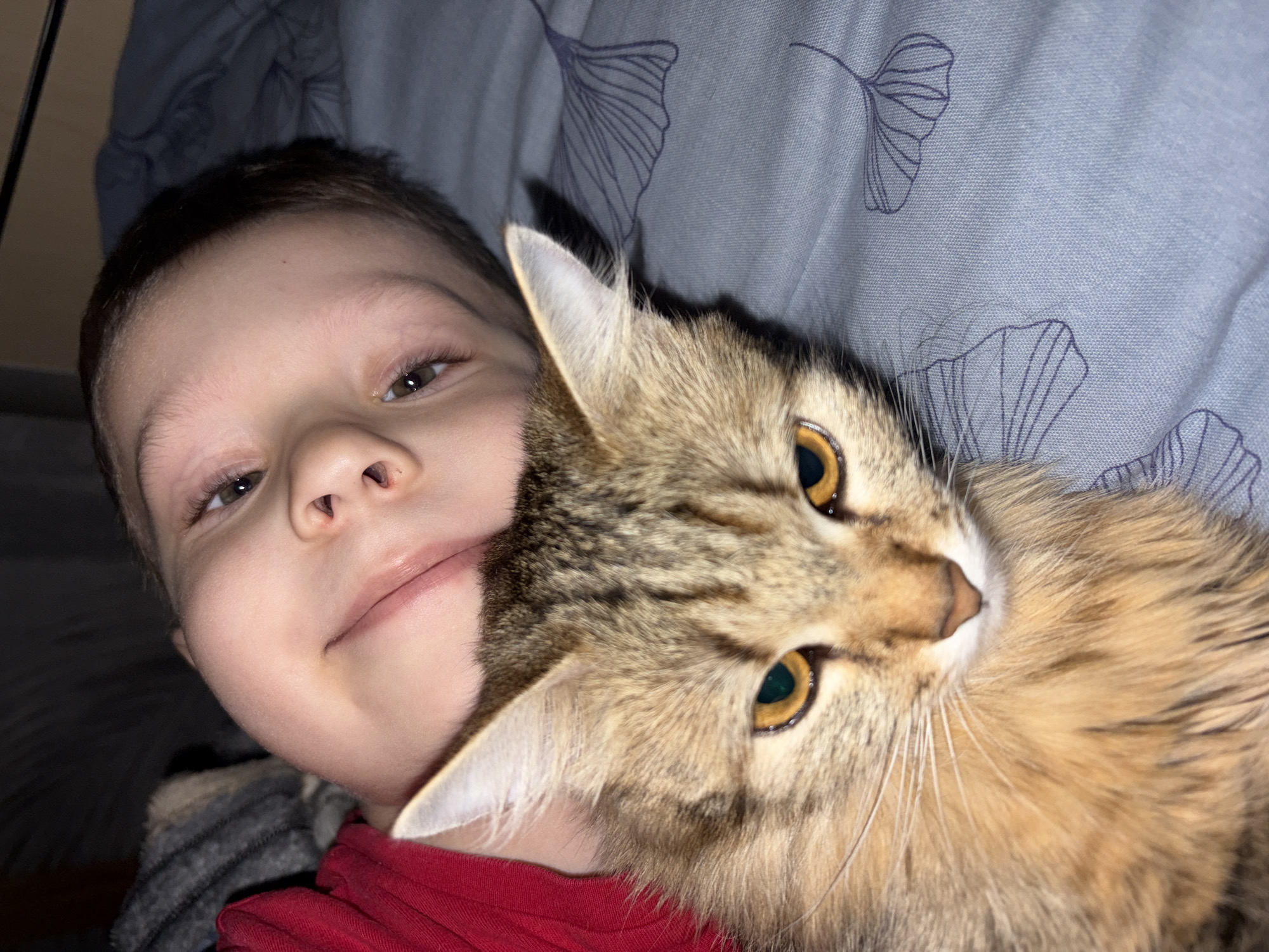 A close-up shot depicts a young child lying on what appears to be a patterned bed cover, cuddling a cat. The child has light skin, short brown hair, and brown eyes, and is wearing a red shirt. The cat, a tabby with brown and tan fur and yellow-green eyes, is positioned close to the child's face. The background is a blue patterned bed cover.