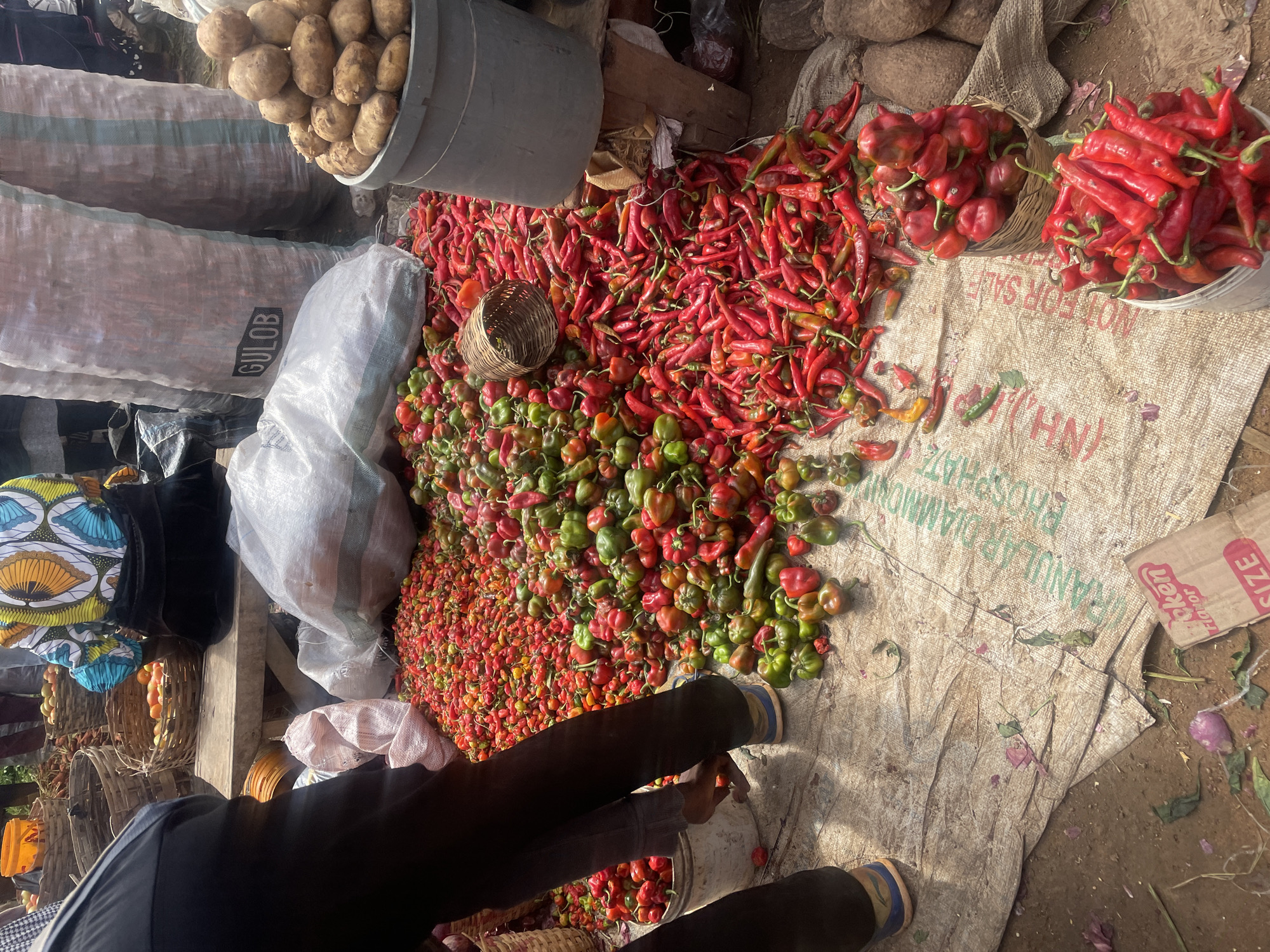 This is a forensic, matter-of-fact description of a scene in a market in Gura Top, Nigeria. The image depicts a bustling marketplace filled with various produce. In the foreground, large piles of red chili peppers and green bell peppers are displayed on a tarp. Several baskets and buckets are filled with these peppers, ready for sale. In the background, large sacks labeled "GULOB" are stacked, likely containing grains or other commodities. A person wearing a colorful patterned shirt and dark skirt is partially visible, interacting with the market. Other individuals, dressed in everyday clothing, are also present, browsing and purchasing goods. The ground is covered in a tarp, with some discarded vegetable scraps scattered around. The overall impression is one of a lively and active open-air market.