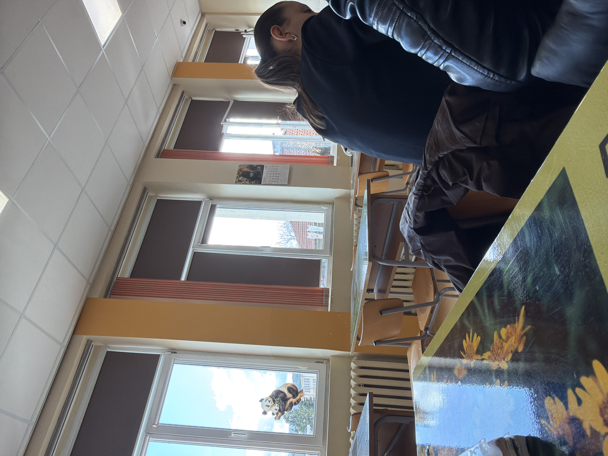 The image depicts an interior scene of a classroom in Panagyurishte, Bulgaria. The room is illuminated by natural light streaming through multiple windows, some of which are partially covered by dark blinds. Walls are painted in a combination of light neutral tones and yellow segments. The ceiling is a grid of white tiles. Standard classroom furniture is visible, including rows of wooden chairs and desks. A person with dark hair is seated near the front of the image, wearing a dark jacket. A book or folder with an image of sunflowers on the cover lies on the desk. A panda bear sticker is pasted on a window. A calendar is visible on the wall between two windows.
