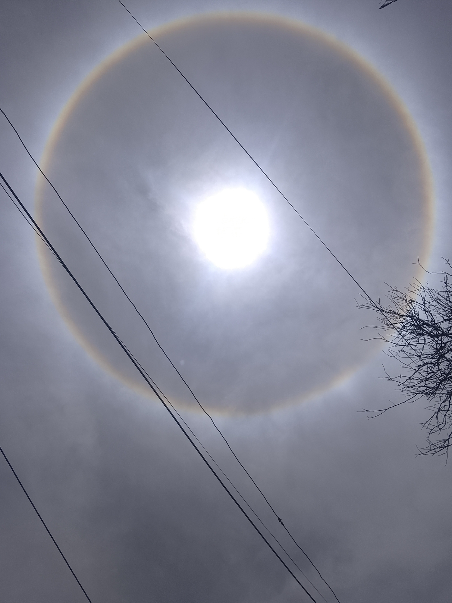 The image shows a 22° halo around the sun, a meteorological phenomenon caused by the refraction of sunlight through ice crystals in the atmosphere. The sky is overcast with gray clouds. In the foreground, there are power lines diagonally crossing the image from the lower left to the upper right. To the right, a tree branch is visible. The location is in Altagracia, Venezuela. There are no people visible in the image.