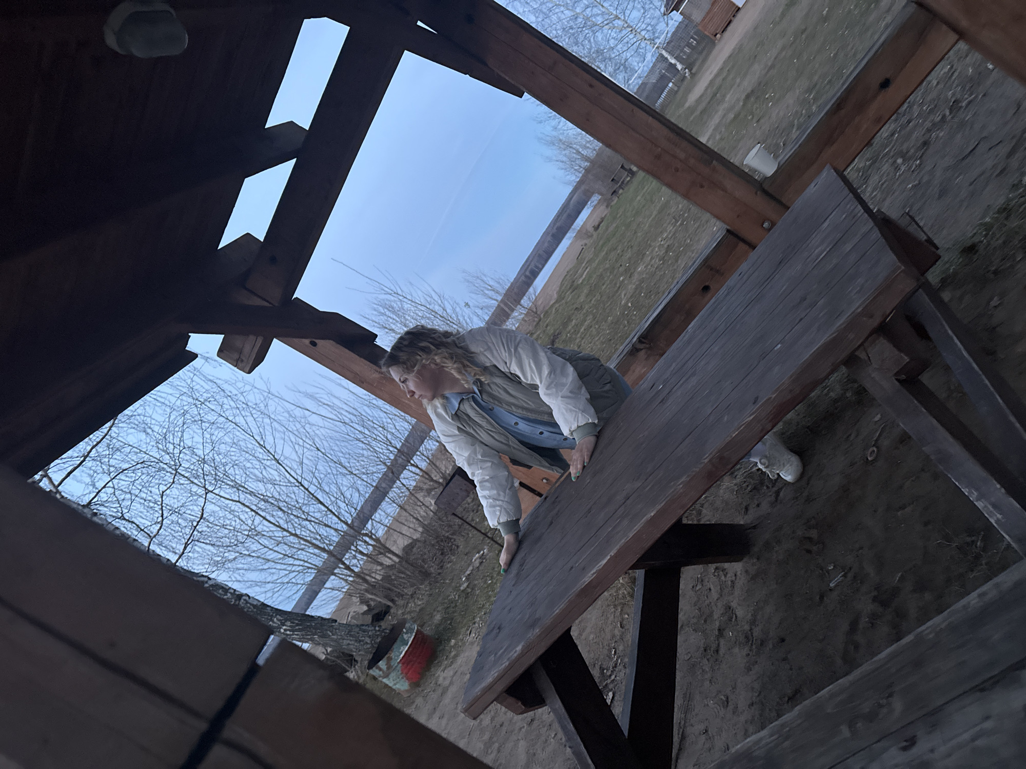 The image captures a woman interacting with a wooden picnic table inside a rustic wooden structure, possibly a gazebo or shed frame, during what appears to be late afternoon or early evening in Chaikovsky, Russia. The low camera angle looks upwards, framing the scene within the wooden beams of the structure and against a light blue sky.
The main subject is a woman with blonde, curly hair, dressed in a light-colored quilted jacket or vest over a blue collared shirt. She is leaning over or possibly climbing onto the dark wooden picnic table, with her hands placed on its surface. Her fingernails are painted green.
The setting is outdoors, characterized by bare trees in the background, suggesting late autumn, winter, or early spring. The ground beneath and around the structure is a mix of dirt and sparse green grass. In the wider background, a fence and a hint of other structures are visible, along with a red and white painted barrel or container. A white plastic cup is perched on one of the wooden beams of the overhead structure. The overall lighting is soft and diffused, indicating the approaching dusk. No discernible text is visible in the image.