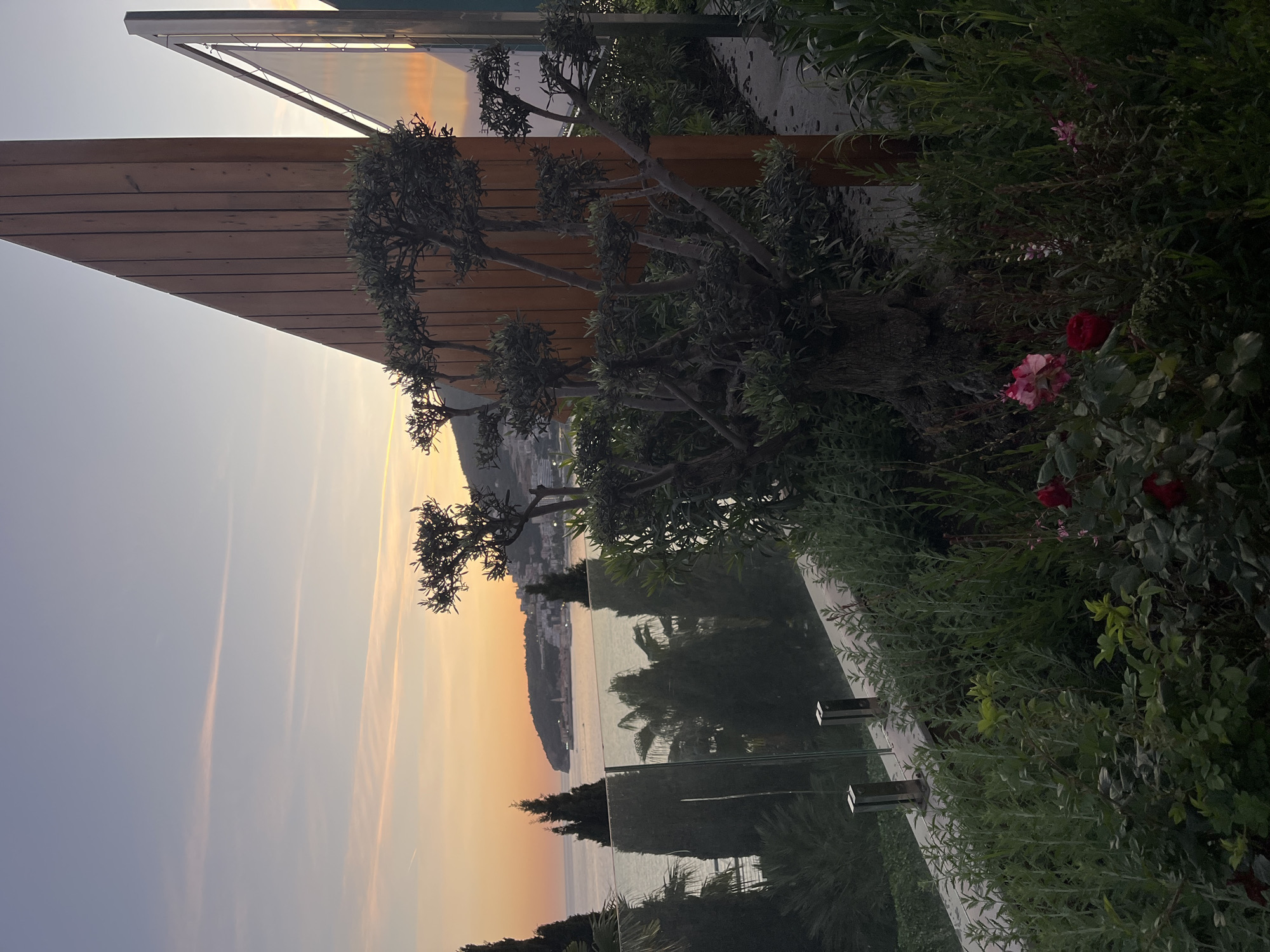 The image captures a serene coastal landscape during either sunrise or sunset in Budva, Montenegro. The scene is viewed from an elevated perspective, looking out over the sea towards a distant town and hills.
In the foreground and midground, there is lush, green foliage, including manicured bushes and small, multi-trunked trees, possibly olive or similar Mediterranean species. Scattered among the greenery are a few vibrant red and pink roses, adding pops of color. To the left, a modern architectural element features a structure made of horizontal wooden slats, likely part of a building or pergola, angled against the sky. Below this, and running horizontally across the midground, are sleek glass panels or railings that reflect the changing colors of the sky and the distant coastal features, including what appears to be palm trees. Two small, square-shaped light fixtures are visible on a low wall or base next to the glass.
The background is dominated by the calm, expansive sea, reflecting the warm hues of the sky. Beyond the water, a distant coastline with rolling hills or mountains is visible, dotted with buildings that make up the town of Budva. The sky displays a beautiful gradient of colors, transitioning from soft light blue at the top to warm orange, yellow, and subtle pink tones closer to the horizon, indicative of the "golden hour." Faint contrails from aircraft are visible across the sky.
There are no people or specific activities depicted, suggesting a tranquil and contemplative atmosphere. The only visible text, faint and mirrored on a reflective surface, appears to read "ALLO".