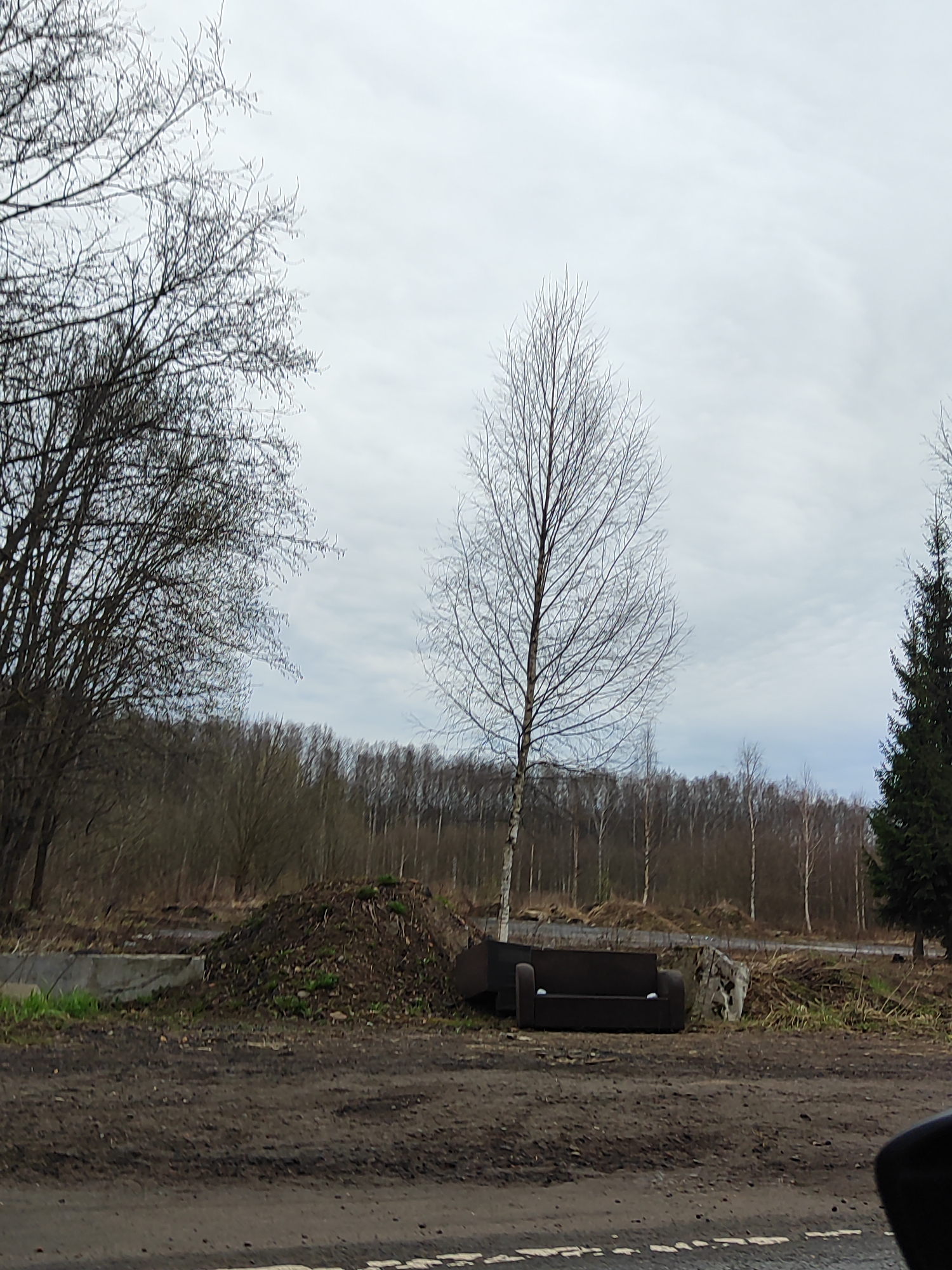 The image depicts an abandoned or illegally dumped sofa positioned near a bare tree in an outdoor environment of Unknown, Unknown. A pile of earth or debris is adjacent to the sofa. The landscape is a mix of barren trees and a conifer, set against an overcast sky. The foreground shows a section of a paved road. There is no indication of human activity or presence in the image.