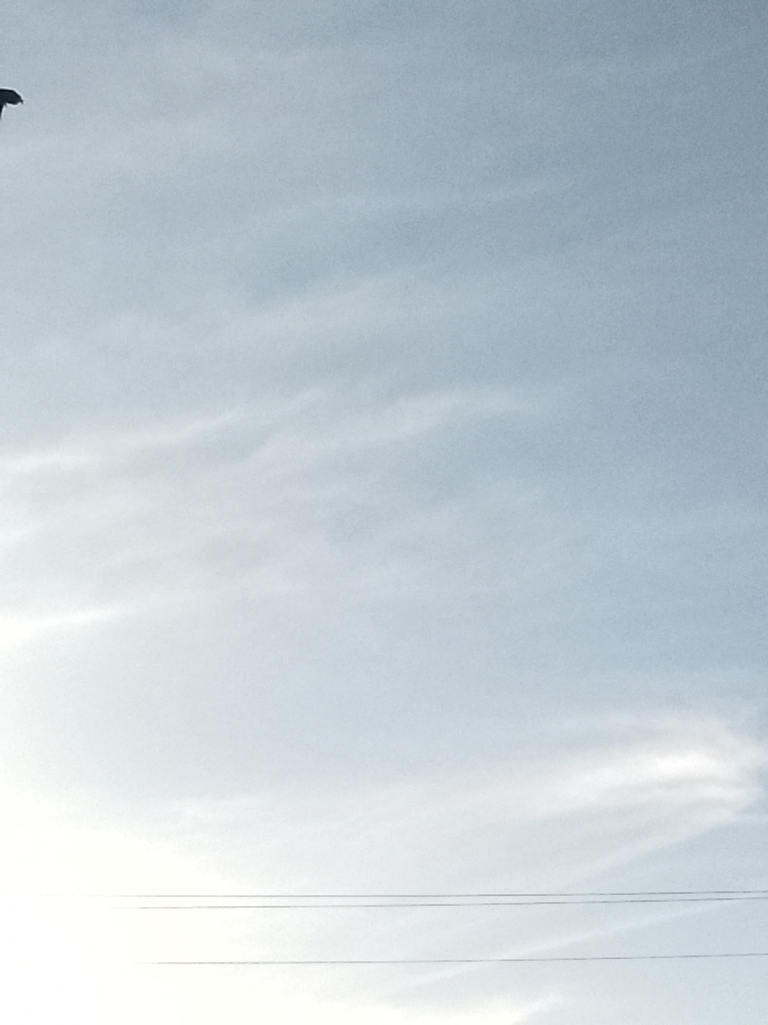The media file displays a predominantly bright, light blue sky with soft, wispy white clouds diffused across the frame. The lower-left corner exhibits a very bright, almost blown-out white area, suggesting the presence of the sun or a significant light source just outside the frame or partially obscured by atmospheric conditions. Two thin, dark utility wires stretch horizontally across the lower half of the image, appearing as parallel lines. In the extreme upper-left corner, a small, dark, indistinct object, possibly part of a man-made structure such as a lamppost or antenna, is partially cropped from view. The scene is static, devoid of people or discernible activities. The weather appears to be partially cloudy or hazy during daytime. No text is visible in the image. The location context for this sky view is Juan Griego, Venezuela.