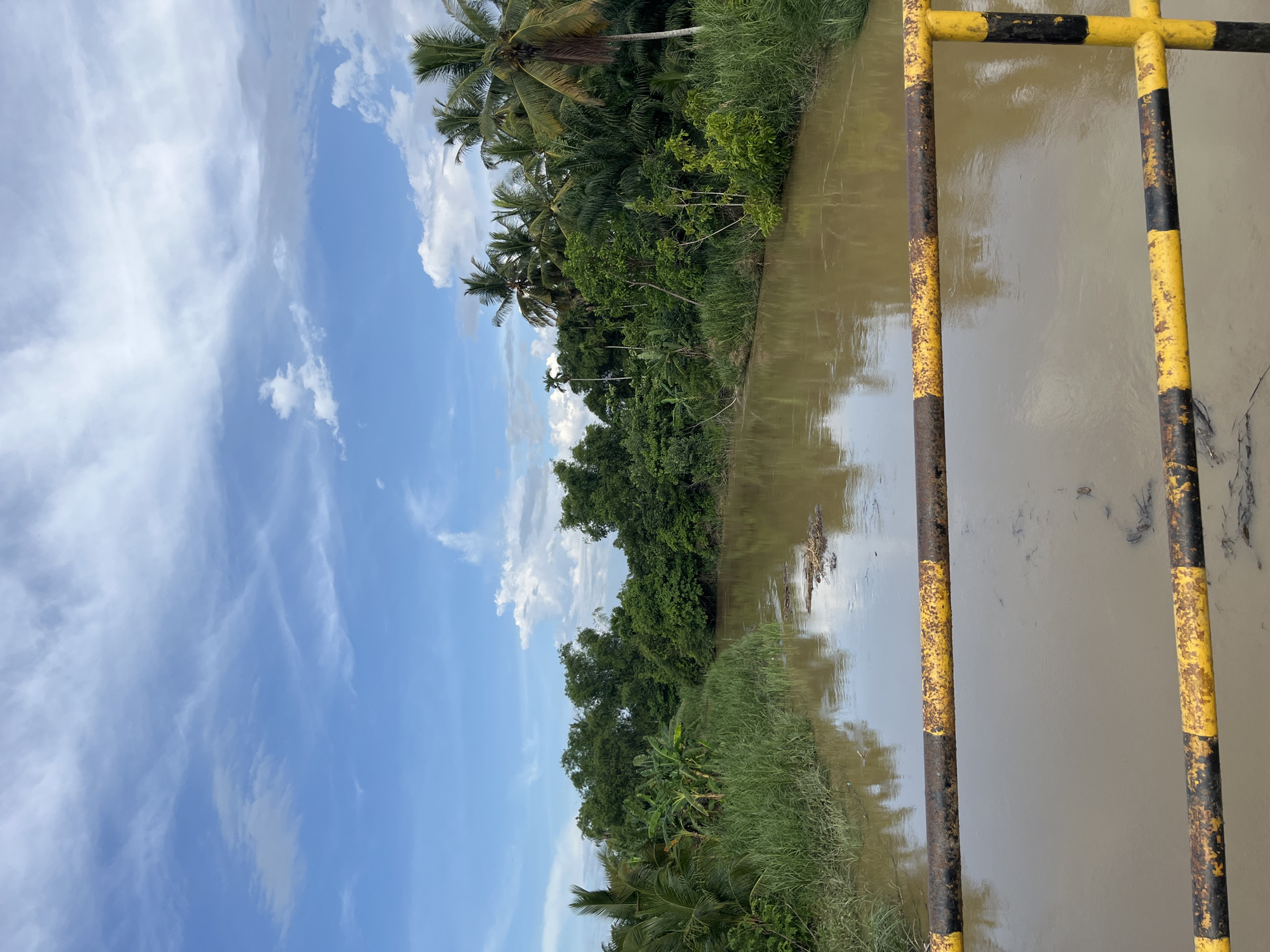 The image displays a wide, muddy brown river under a partially cloudy blue sky, observed from a perspective elevated by a bridge. In the immediate foreground, two rusted metal bars, painted with alternating yellow and black stripes, form part of a railing. The river, which flows through the center of the frame, contains scattered debris, possibly organic matter, floating on its surface. Both riverbanks are densely vegetated with lush, green tropical foliage, including tall grasses, banana plants, and numerous palm trees of varying heights and species. The sky above features scattered white cumulus clouds against a clear blue background, with some wispy cirrus clouds also present. No individuals, animals, or structures are visible beyond the natural environment. The scene is located in Dayahbaro, Indonesia.