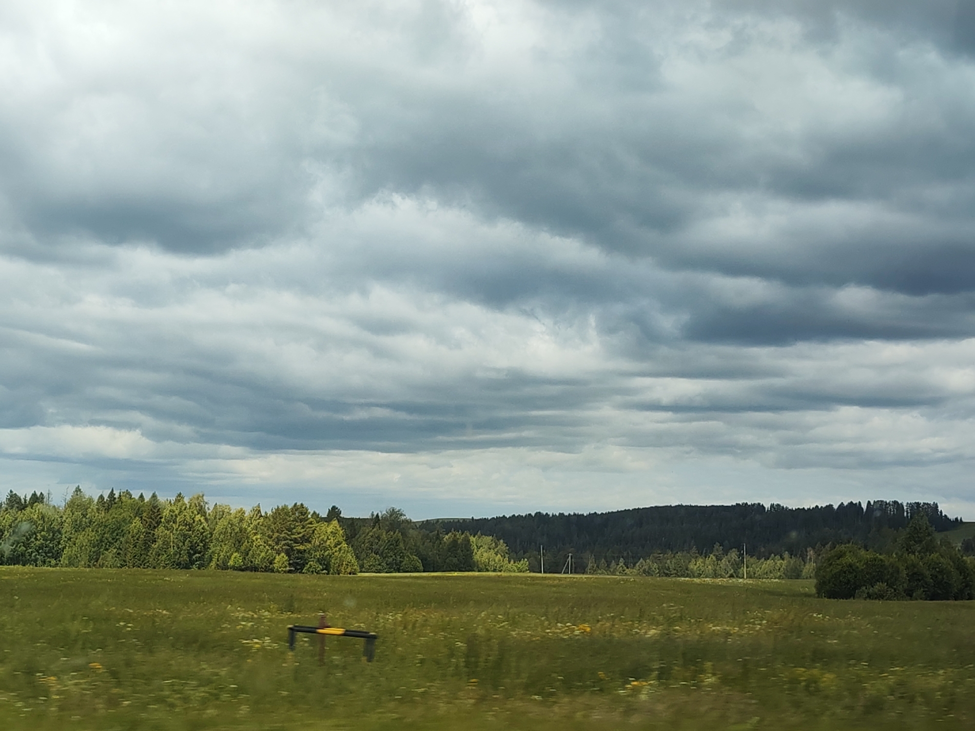 The image depicts a wide, horizontal landscape under a cloudy sky. The foreground is a green field with some sparse yellow flowers. In the middle ground, there is a dense line of green trees, varying in height and type, forming a forest edge. Beyond the trees, rolling hills covered in a darker green forest stretch across the horizon. The sky is filled with heavy, grey clouds, obscuring any direct sunlight and creating a muted, atmospheric effect. A yellow and black marker or post is partially visible in the lower left portion of the field. The overall scene is natural and rural, with no visible human figures or signs of urban development. This landscape is typical of the region around Buranovo, Russia, known for its natural beauty and agricultural land.