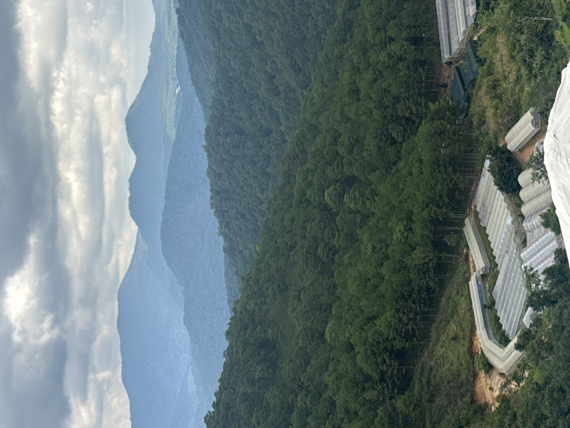 The image depicts a sprawling landscape in Xuân Thành, Vietnam, characterized by rolling green hills covered in dense forests. In the foreground, a series of greenhouses, likely for agricultural purposes, are arranged in rows on a hillside. The greenhouses are white and semi-transparent, with arched roofs. A dirt road winds its way up the hill, providing access to the agricultural structures. Beyond the immediate foreground, the landscape transitions into lush, verdant hills that recede into the distance, forming layers of mountains. The furthest mountains are shrouded in a light blue haze, suggesting a significant distance. The sky above is overcast with a dramatic display of gray and white clouds. The scene conveys a sense of rural tranquility and agricultural activity within a mountainous terrain.