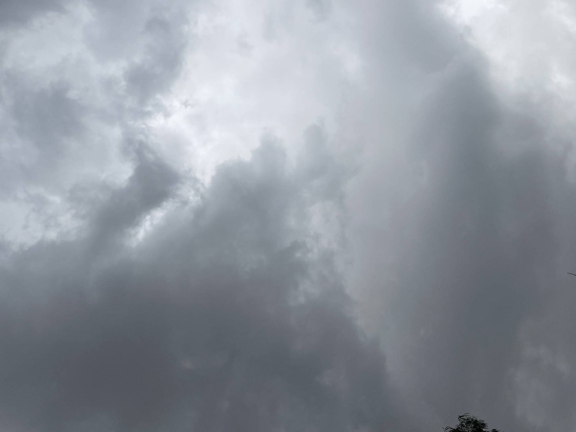 The image shows a gray, overcast sky. The clouds are thick and dense, varying in shades of gray. The sky appears to be heavy, suggesting possible rain. In the very bottom of the image, there is the top of a green leafy plant. The location in the city of Jos, Nigeria is not discernable based on visual evidence.
