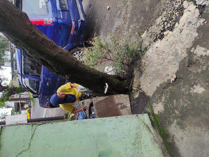 The image captures an outdoor street scene in Kepanjen, Indonesia, characterized by a mix of natural elements and urban infrastructure. A thick-trunked tree, with textured, dark bark, stands prominently in the center of the frame, angled towards the left. At its base, small green foliage and reddish-stemmed plants emerge from the ground.
Behind the tree, a blue multi-purpose vehicle (MPV) is parked on an asphalt road. The vehicle displays a partially visible Indonesian license plate, "L 1555 IS," on its rear. A sticker on the car's back window clearly reads "PESANTREN AL ISLAMI."
A person, likely a woman, is visible to the left of the tree, partially obscured by its trunk. She is wearing a bright yellow t-shirt and a blue head covering. She looks directly towards the camera with a neutral expression. Her hands are visible, one resting by her side or on a low surface, and the other near her lap.
The ground area in the foreground and to the right of the tree consists of heavily damaged concrete and asphalt, featuring extensive cracks, potholes, and exposed gravel. Patches of green moss or algae indicate damp conditions. A light green painted wall or structure occupies the lower-left corner of the frame. In the background, beyond the blue car, other buildings and a glimpse of a yellow vehicle can be seen. The scene is illuminated by diffused daylight, suggesting an overcast day or a time of day with indirect sunlight. The person appears to be present in the setting, possibly resting or waiting.