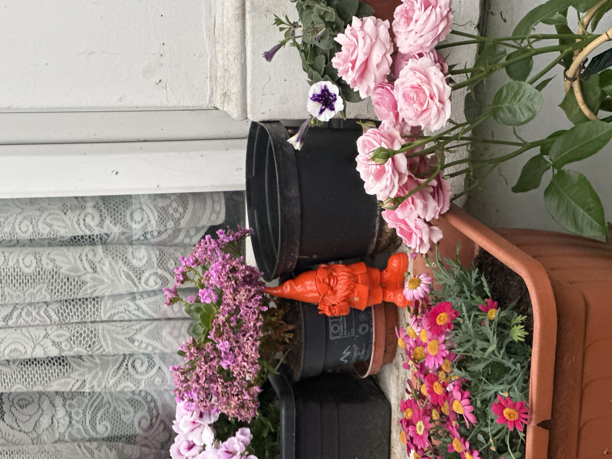The image shows a vertical arrangement of potted plants against a white wall, possibly an exterior wall of a building. From top to bottom: pink roses, a pot with a white and purple flower, and other greenery are present. An orange gnome figure is positioned between two dark-colored stacked pots. Below the gnome, there is a pot with small pink and yellow daisy-like flowers and a pot with purple flowers. A lace curtain is partially visible behind the pots. The exact location in London cannot be determined based on the provided image.