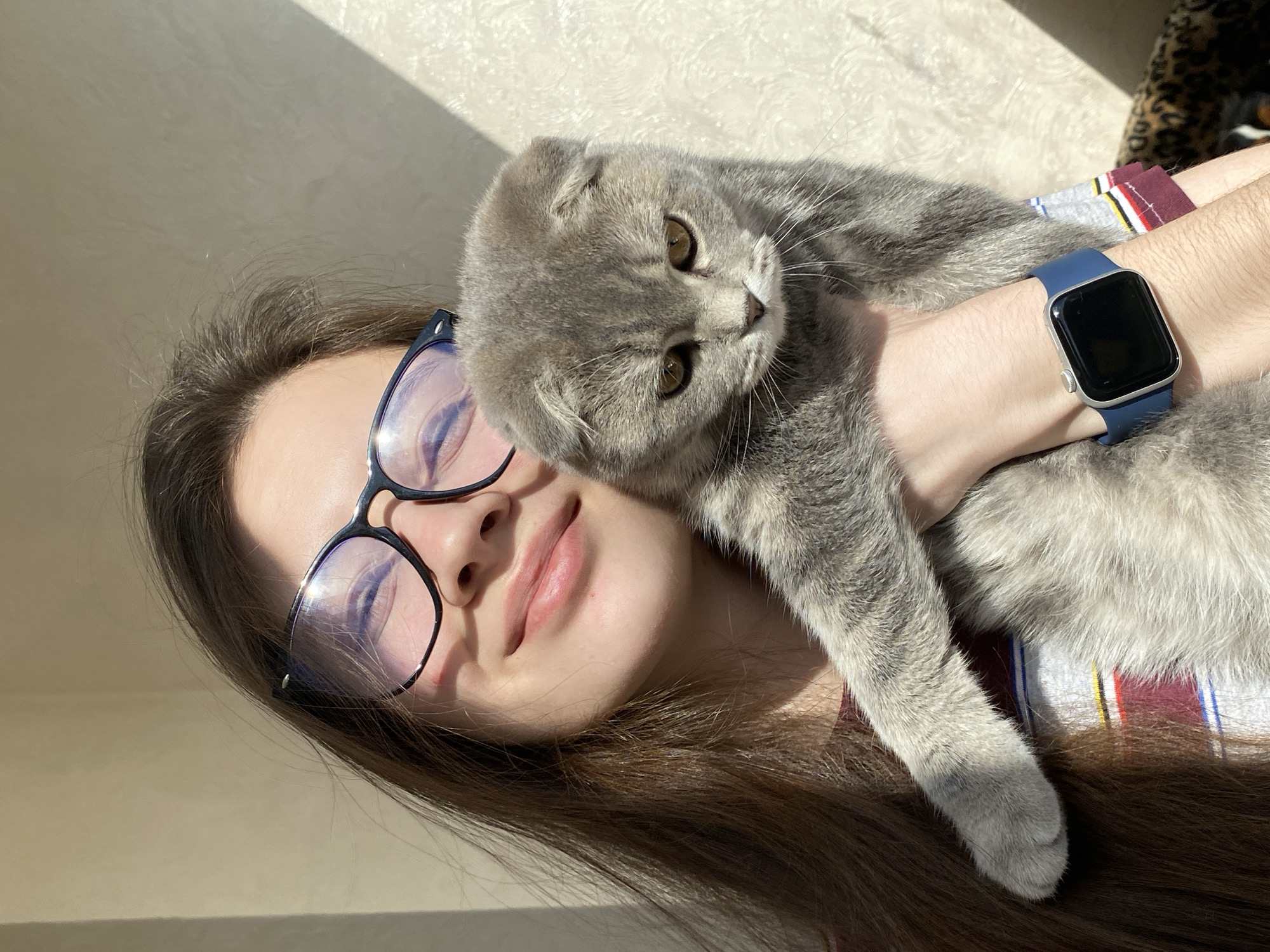 This indoor portrait, taken in Votkinsk, Russia, depicts a young woman affectionately cradling a grey Scottish Fold cat. The woman, with long, dark brown hair and wearing dark-rimmed glasses, lies down, looking directly at the camera with a gentle, contented smile. Her left hand, wearing a blue-banded smartwatch with a silver case, supports the cat.
The Scottish Fold cat, with its distinctive folded ears and striking amber eyes, rests comfortably on the woman's chest and shoulder, also looking towards the camera. Its soft, grey fur shows subtle tabby patterns. Visible beneath the cat and around the woman's arm are glimpses of a multi-striped garment, featuring red, white, blue, and yellow lines.
The scene is illuminated by bright, natural sunlight, creating strong shadows on the textured, light-colored background, suggesting a sunny morning or late afternoon. The overall atmosphere conveys warmth, peace, and mutual affection between the pet and its owner. No visible text is present in the image.