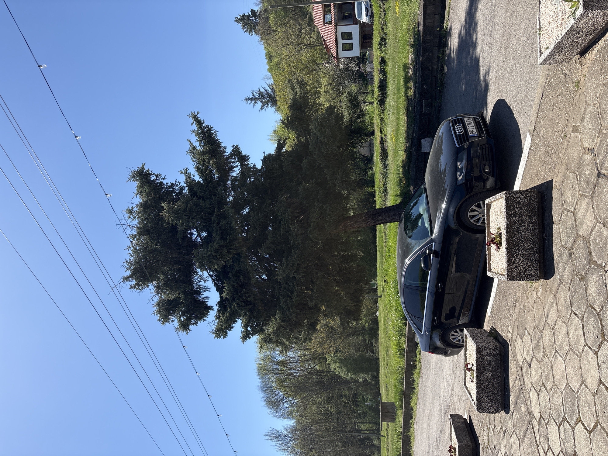 The image depicts a street scene in Kopilovtsi, Bulgaria on a sunny day. A black Audi A4 car, registration number BP 7276 CN, is parked on a paved driveway next to a grassy area. There are several grey, rectangular concrete planters along the edge of the driveway, some containing flowers. A large evergreen tree dominates the view, casting shadows on the ground. Power lines are visible in the clear blue sky above. In the background, a house with a red-tiled roof is partially visible amidst the trees. The overall scene suggests a residential neighborhood.