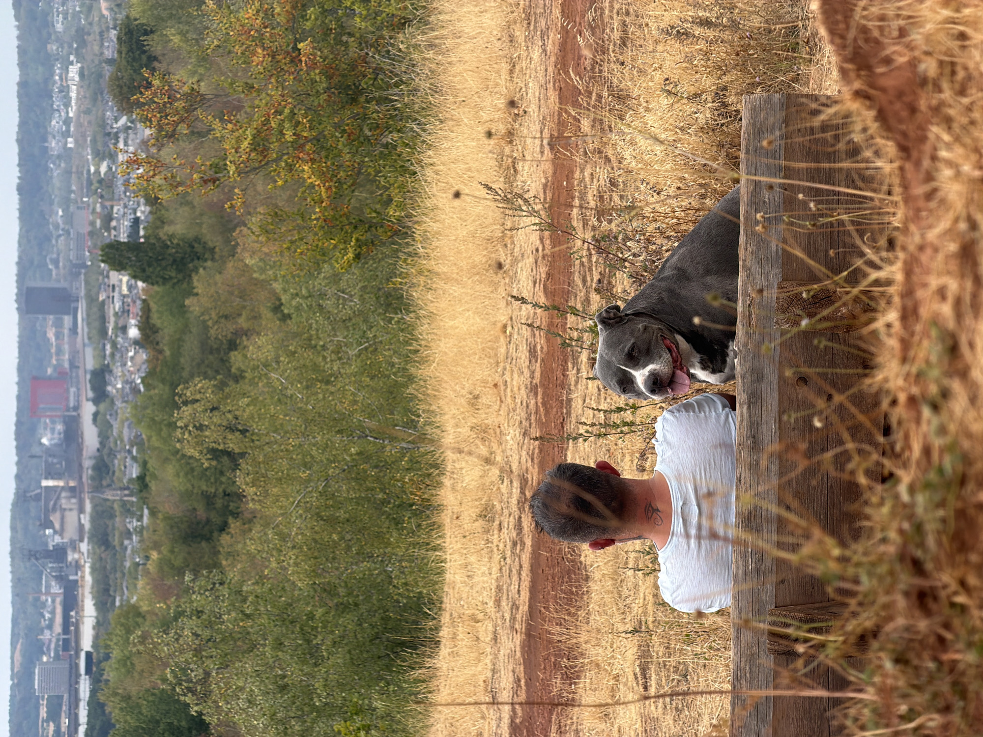 This image captures a serene outdoor scene with a backdrop of the city of Schifflange, Luxembourg. In the foreground, a person is seated on a wooden bench, viewed from behind. The person has dark hair and is wearing a light-colored t-shirt. A pit bull type dog, with grey and white markings, lies beside the person on the bench. The environment is characterized by dry, golden grass and sparse vegetation, suggesting a natural, possibly rural or park-like setting. In the mid-ground, lush green trees with hints of autumnal color form a dense foliage. The background reveals the urban landscape of Schifflange, with various buildings, industrial structures, and residential areas spread across rolling hills under a hazy sky. The overall impression is one of quiet companionship amidst a blend of nature and urbanity.