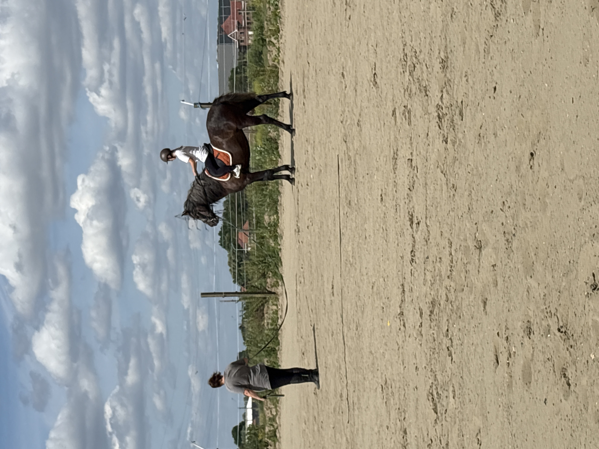 The image depicts a horse and rider training session in an outdoor sand arena. The rider is positioned on a black horse, and a person on the ground is holding a long whip, presumably directing the horse. The arena is surrounded by a fence and vegetation. In the background, there are buildings, possibly residences. Based on the prompt, the location is Estaimpuis, Belgium.