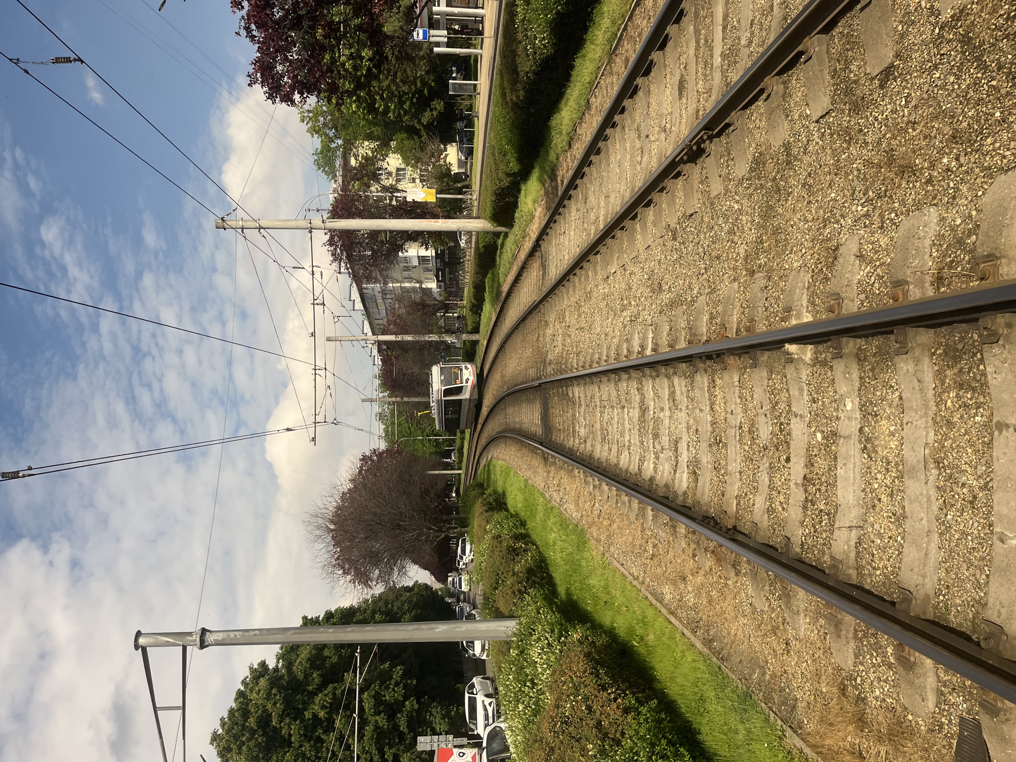 The image shows a section of tram tracks curving through an urban environment, likely a residential area in Krasnodar, Russia. The double set of tracks runs between grassy strips and landscaped areas with trees and bushes. Overhanging wires are supported by metal poles. A tram is approaching from further down the track. Cars are parked alongside the road, which runs parallel to the tracks. The sky above is a partly cloudy blue. The image is taken from a perspective that is nearly level with the tracks.