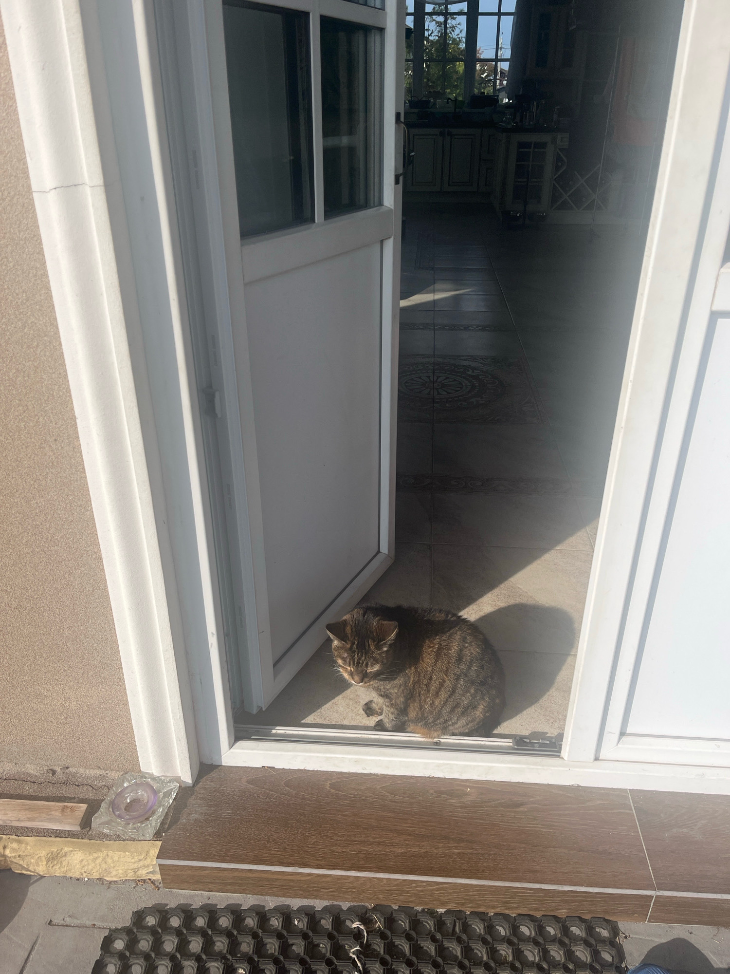 A tabby cat sits in the shadow cast by an open doorway, on what appears to be a tiled floor. The doorway leads into a room with a bright, sunlit kitchen area visible in the background. Outside the doorway, the ground is paved with dark tiles, and a doormat is visible. The image appears to be taken on a sunny day. The specific location of Vladimirovka, Russia, is not visually confirmed in the image.