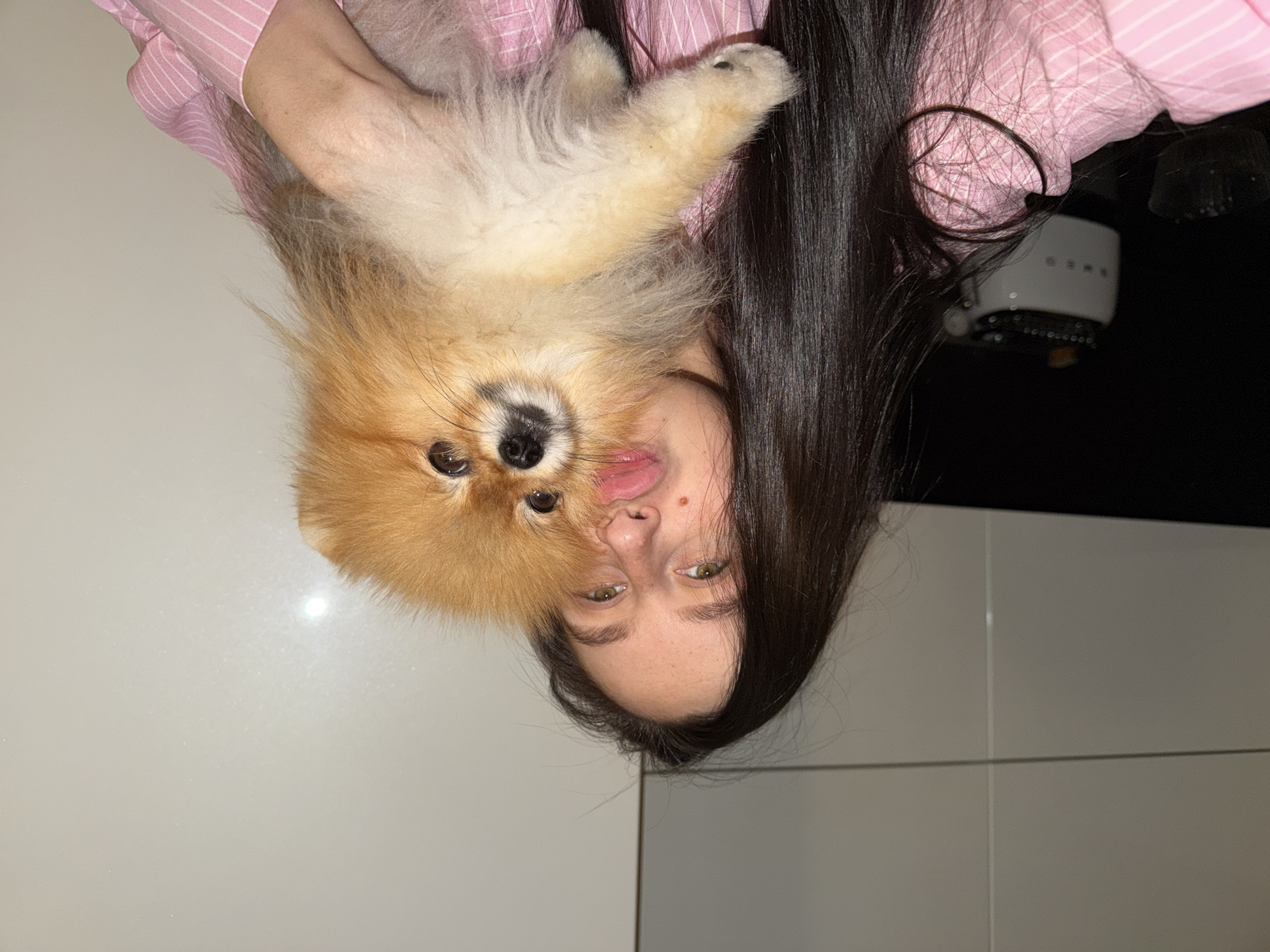 The image, rotated 90 degrees clockwise, captures a playful indoor moment featuring a woman and a small dog in Khimki, Russia. A woman with long, dark hair and light-colored eyes is central to the frame. She wears a pink and white striped shirt and displays a playful expression with her tongue slightly extended.
She is holding a fluffy, tan and orange Pomeranian dog close to her face. The dog appears to be held in an inverted or unusual position, looking towards the camera with its dark eyes and black nose prominent.
The background indicates an indoor setting, likely a kitchen or living area, with light-colored, possibly tiled or paneled, walls on the left and bottom. A darker area is visible in the upper right, where a white appliance with the faintly discernible text "SMEG" is situated. The overall atmosphere of the scene is lighthearted and affectionate.