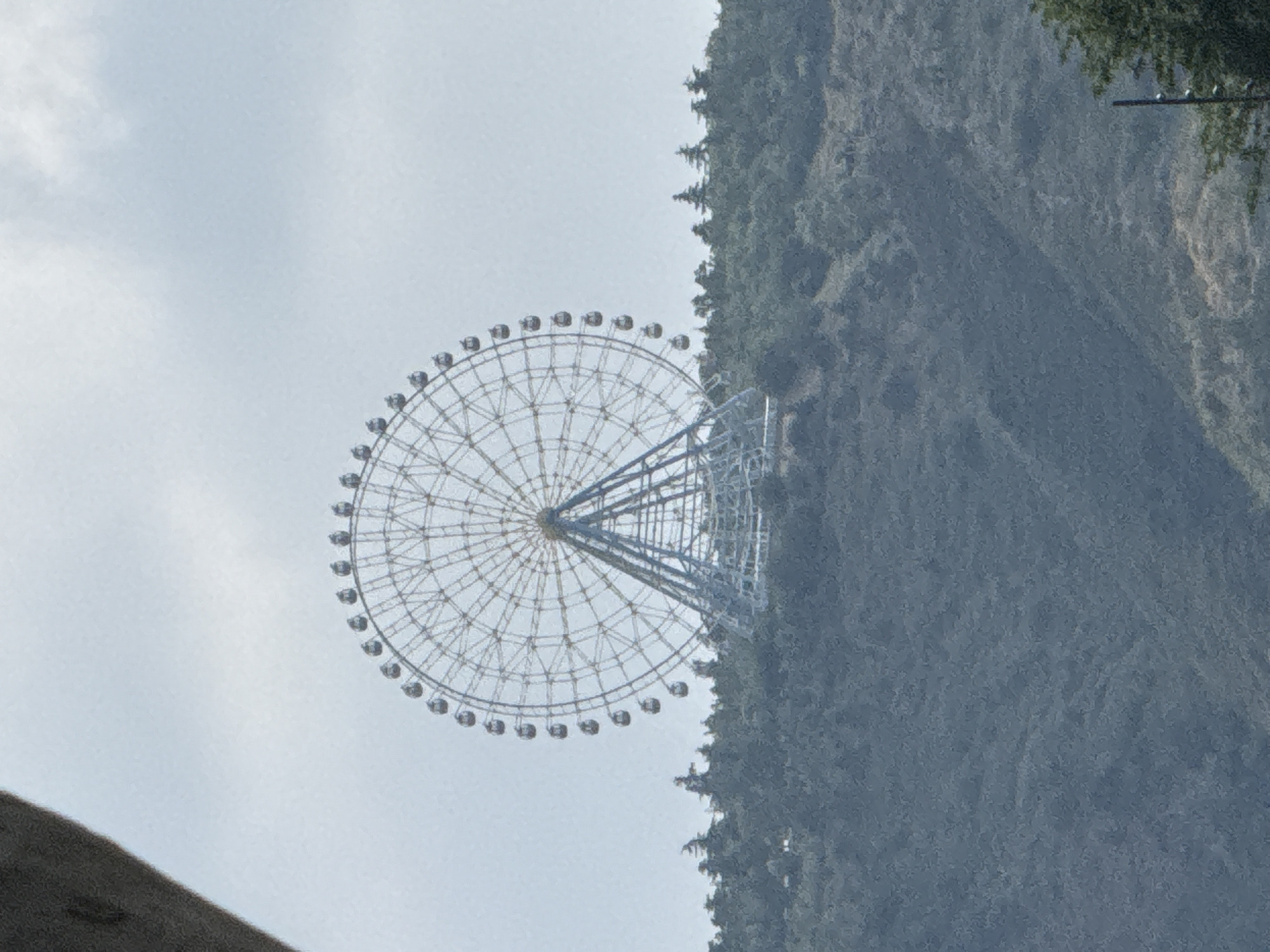 A large Ferris wheel is visible atop a tree-covered hill on a cloudy day. The Ferris wheel has a white circular frame with numerous passenger cabins attached to its circumference. A blue and white triangular support structure anchors the Ferris wheel to the hill. The hill is covered in dense green trees, with some lighter-colored patches suggesting exposed earth or sparse vegetation. The sky is overcast with light gray clouds. The lower left corner of the image is partially obscured by a dark, blurred object, possibly a structure or tree branch.