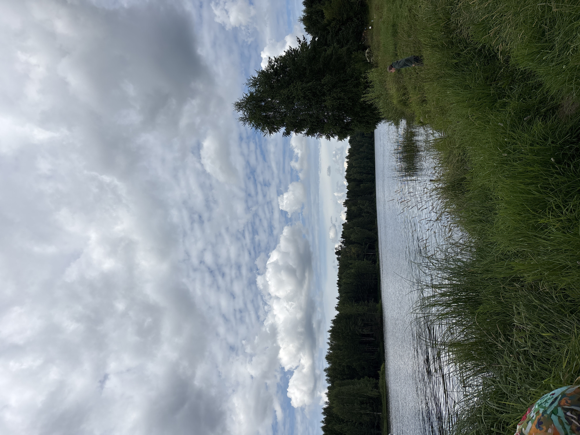 The image depicts a serene lakeside scene in Zaymishche, Russia. The foreground is dominated by tall, lush green grass and reeds along the water's edge. In the middle ground, a calm, reflective body of water stretches across the frame, with a dense forest lining the opposite bank. The forest is a mix of dark green coniferous and lighter green deciduous trees, creating a textured wall of foliage. Towering over the right bank is a tall, slender tree, its branches reaching towards the sky.
In the right midground, a person wearing a dark green hooded jacket and dark pants is standing amidst the tall grass, looking towards the water. Their stance suggests they are observing something or perhaps about to step into the water. In the far left foreground, a portion of another person's clothing is visible, featuring a colorful, abstract pattern, suggesting they are also present at the location. The sky above is filled with a dramatic display of grey and white clouds, some puffy and bright, others darker and more diffused, hinting at a possibly overcast but visually interesting day. The overall impression is one of natural tranquility and a moment of quiet observation by the lake.