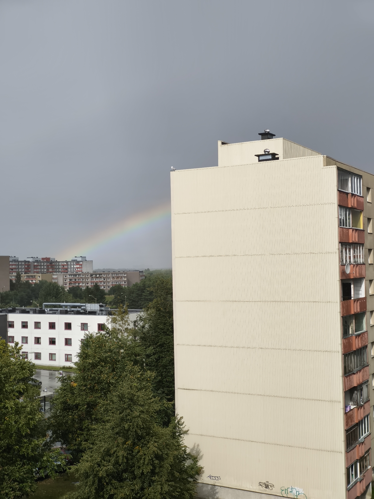 The image captures an urban landscape in Tallinn, Estonia, dominated by several multi-story apartment buildings and a prominent rainbow arcing across a gray, overcast sky. In the foreground and to the right, a tall, light-colored apartment building with vertical siding occupies a significant portion of the frame. Its facade is broken by balconies with reddish-brown railings and glass enclosures. Some balconies show signs of wear, with some appearing open and others enclosed. Graffiti is visible on the lower section of this building.
To the left, a slightly shorter, white apartment building with red-framed windows is partially visible, set against a backdrop of lush green trees. Further in the distance, a larger complex of apartment buildings with a reddish-brown facade and numerous windows is visible. The rainbow, a vibrant arc of color, stretches across the sky from the left to the right, seemingly emerging from behind the distant buildings and fading into the overcast sky. The overall atmosphere suggests a post-rain or impending rain scenario. Trees are scattered throughout the scene, some in the foreground and others forming a green belt around the distant buildings. The sky is uniformly gray, indicating cloud cover. No people or vehicles are clearly discernible in the image.