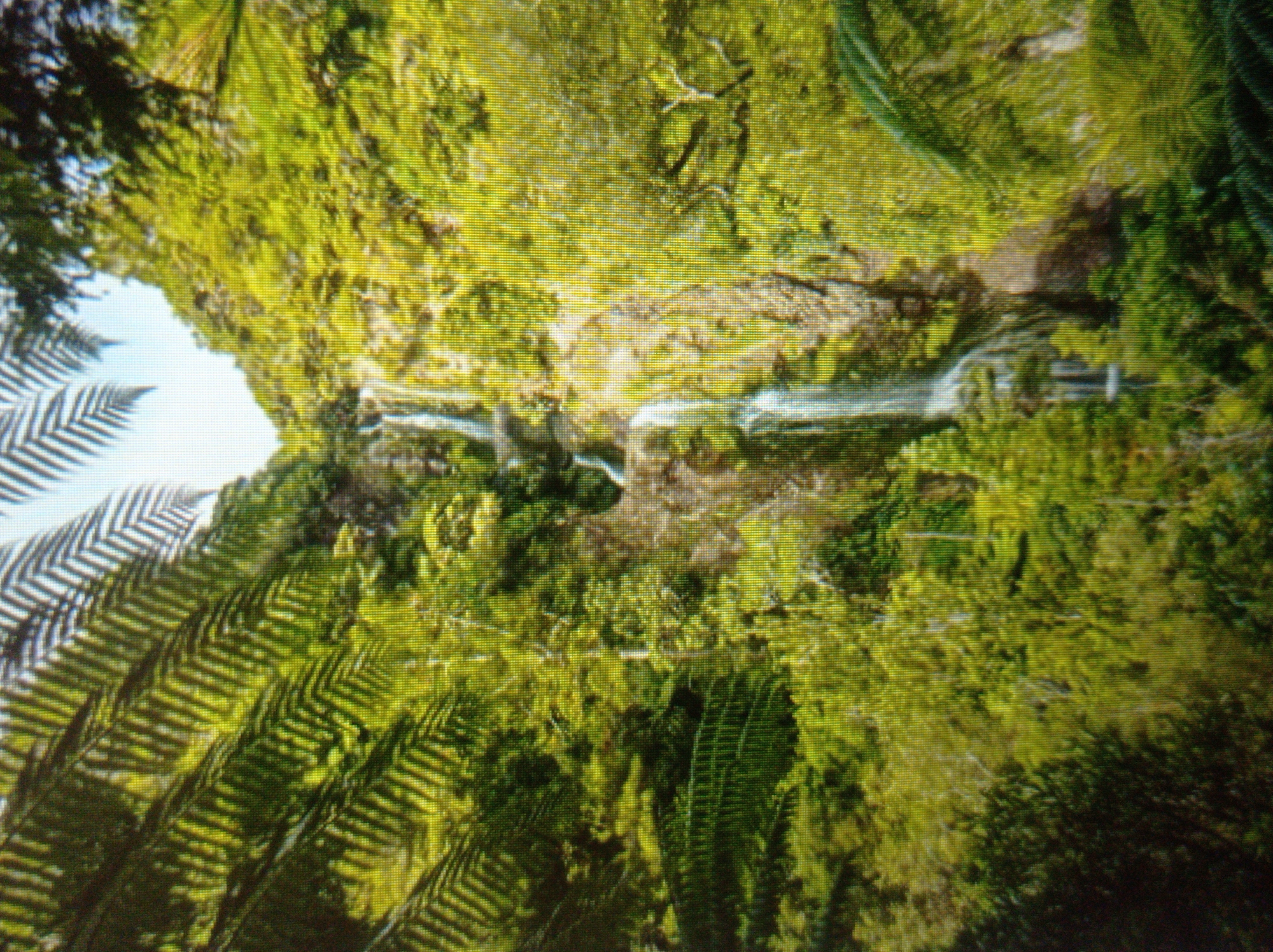 The image depicts a lush, green forested mountainside with a waterfall cascading down rocky terrain. Large fern fronds are visible in the foreground, framing the scene. The waterfall appears to be a multi-tiered cascade, with water flowing over dark rocks and into a pool or stream below, though the bottom of the waterfall is not fully visible. The surrounding vegetation is dense, with various shades of green indicating a variety of trees and foliage. The sky is bright and appears to be a clear day. There are no people or man-made structures visible in the image. The location is not in Mukachevo, Ukraine.