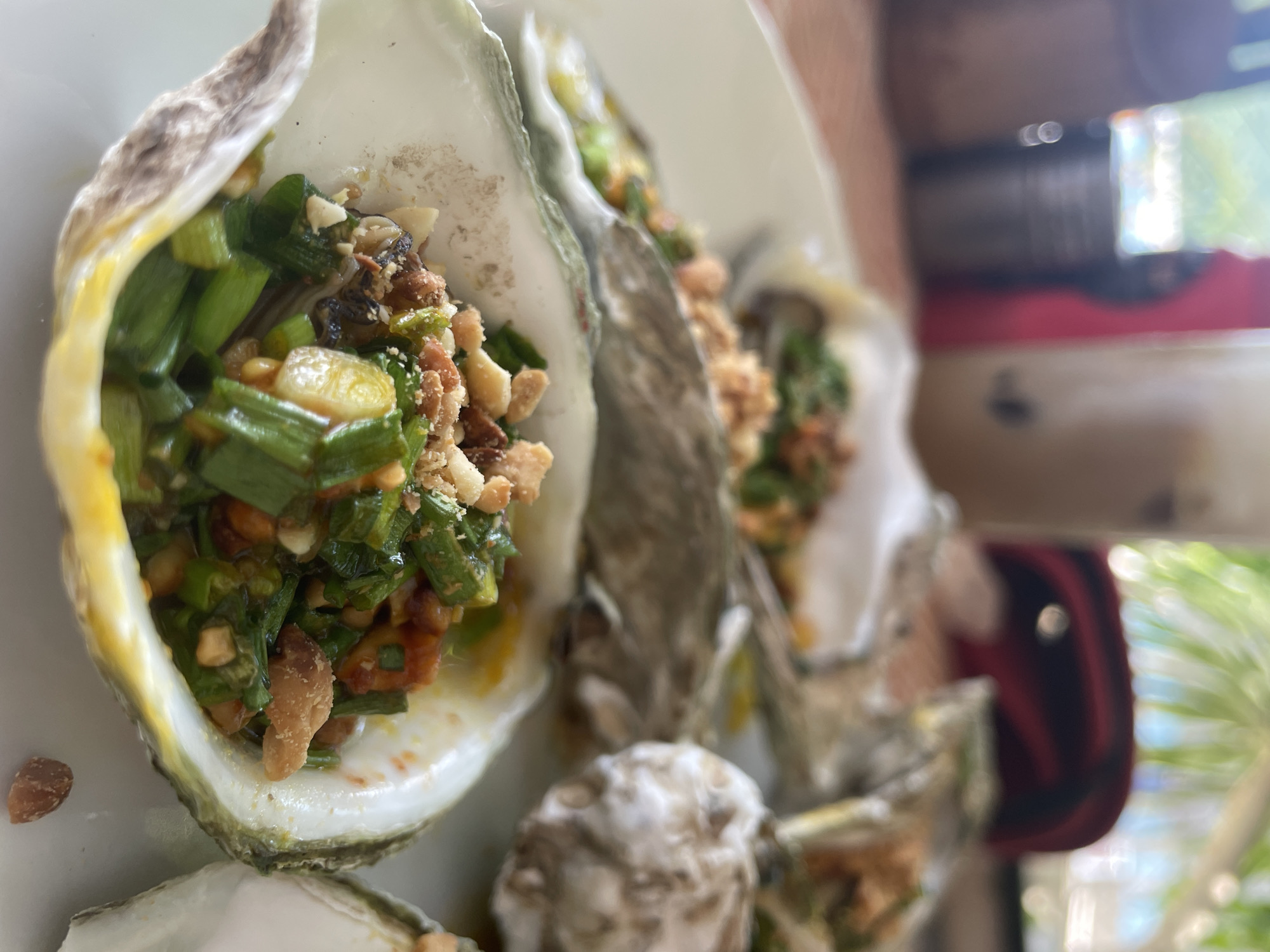 A close-up, eye-level, outdoor shot on a white plate features several fresh oysters topped with chopped green onions, garlic, and crushed peanuts. The oysters are served in their shells, some of which appear to have a yellowish-greenish tint around the edges. In the blurred background, a beverage in a clear plastic cup with a lid and straw is visible, as is a red bag and foliage, suggesting a casual dining setting, potentially a beachside restaurant in Đà Nẵng, Vietnam. The lighting is natural, indicating daytime.