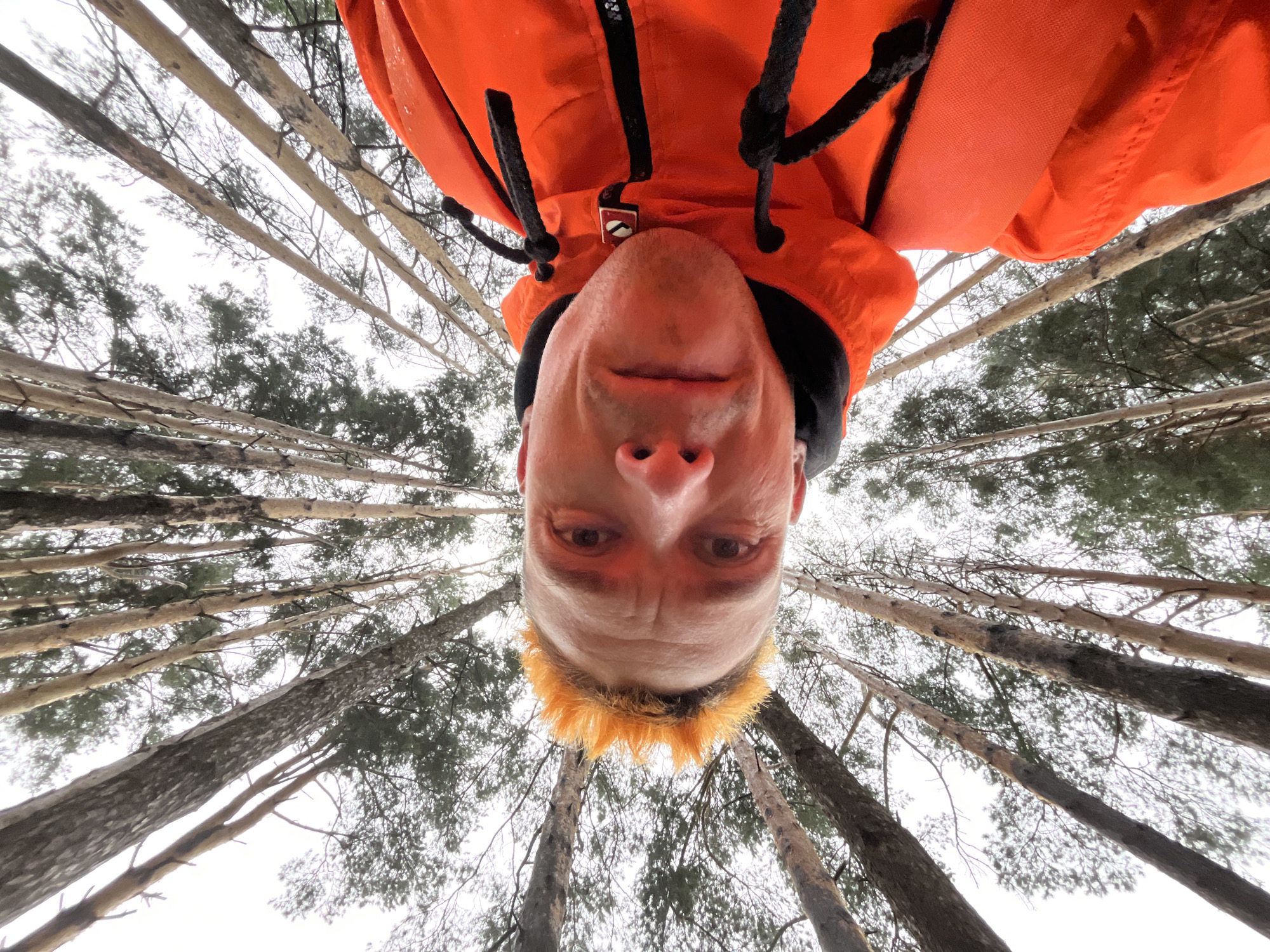 An individual with brightly dyed orange hair is captured in a low-angle, close-up selfie within a forest setting. The person is wearing an orange jacket with black drawstrings. The background consists of tall, thin trees with sparse greenery, and the sky is overcast. The photograph is oriented upside down. The image quality is slightly grainy. The specific location in Chaikovsky, Russia, cannot be determined from the visual information provided.
