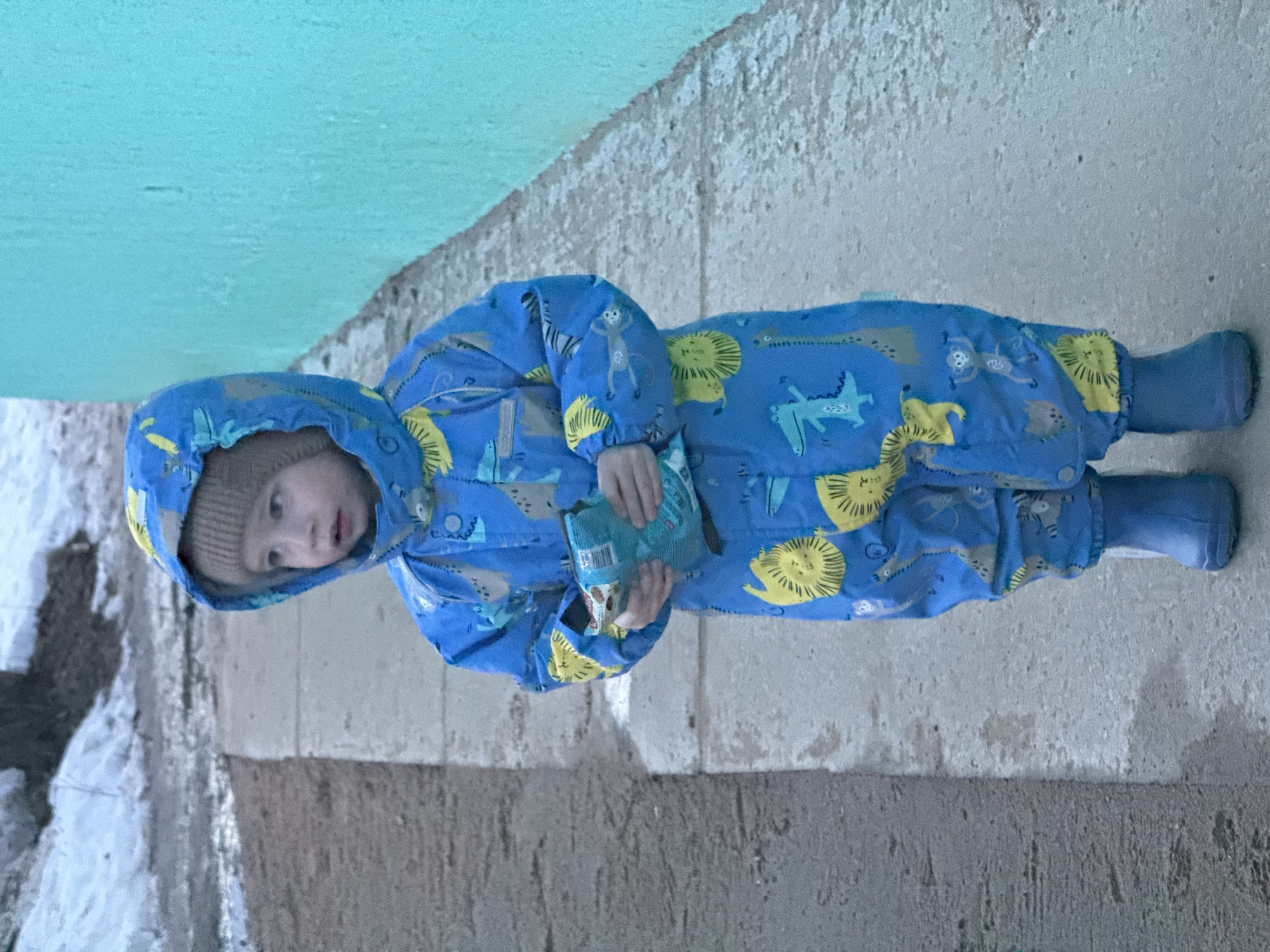 A young child, approximately two to three years old, stands on a concrete pathway in Chaikovsky, Russia. The child wears a blue hooded one-piece outerwear suit featuring patterns of yellow lions, green crocodiles, grey monkeys, and brown giraffes. A light brown knitted beanie is visible beneath the hood. The child is equipped with blue rubber boots. The child holds a small, teal-colored, sealed package in both hands, positioned at waist level. The child's gaze is directed slightly upward and to the viewer's right. To the child's left, the ground transitions to a darker, rougher texture, with patches of melting snow visible further in the background. To the child's right, a solid, textured wall painted in a bright teal color extends vertically.