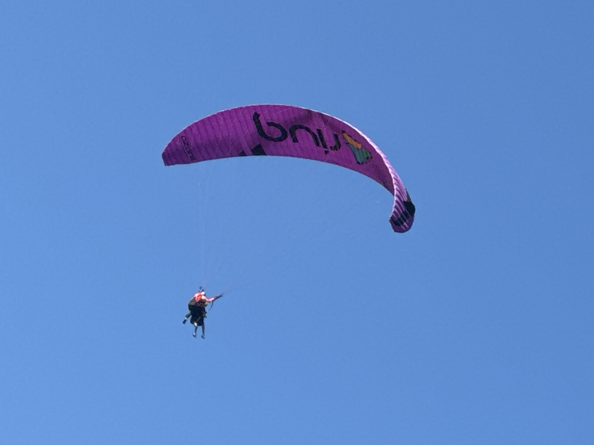 In Kuta Selatan, Indonesia, two individuals are paragliding under a vibrant purple canopy against a clear blue sky. The paraglider, who appears to be a tandem instructor, is positioned behind the passenger. They are suspended by lines connecting them to the canopy, which displays a logo. The scene captures the exhilaration of flight against a vast, unblemished sky.
