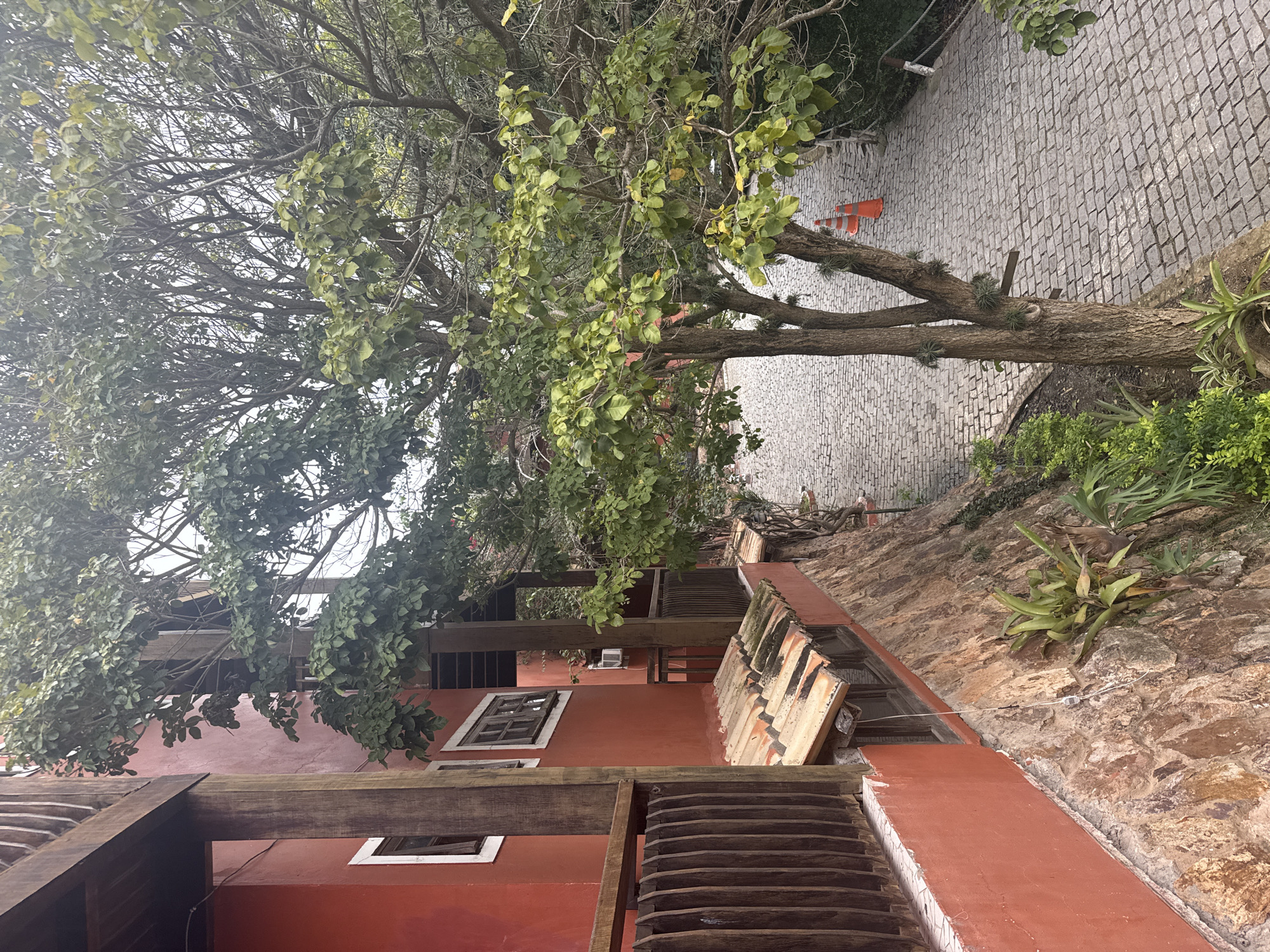 The image depicts a cobblestone pathway curving through lush greenery beside a vibrant red building. The architecture features wooden balconies and terracotta tiled roofs, suggesting a charming, possibly rustic setting. Large trees with dense foliage flank the path, casting shadows and contributing to a natural, overgrown ambiance. Two orange traffic cones are visible on the pathway further ahead. The scene is devoid of people and appears to be an outdoor area, possibly a resort or a residential complex, in São Pedro Da Aldeia, Brazil, characterized by its natural beauty and distinctive architecture.