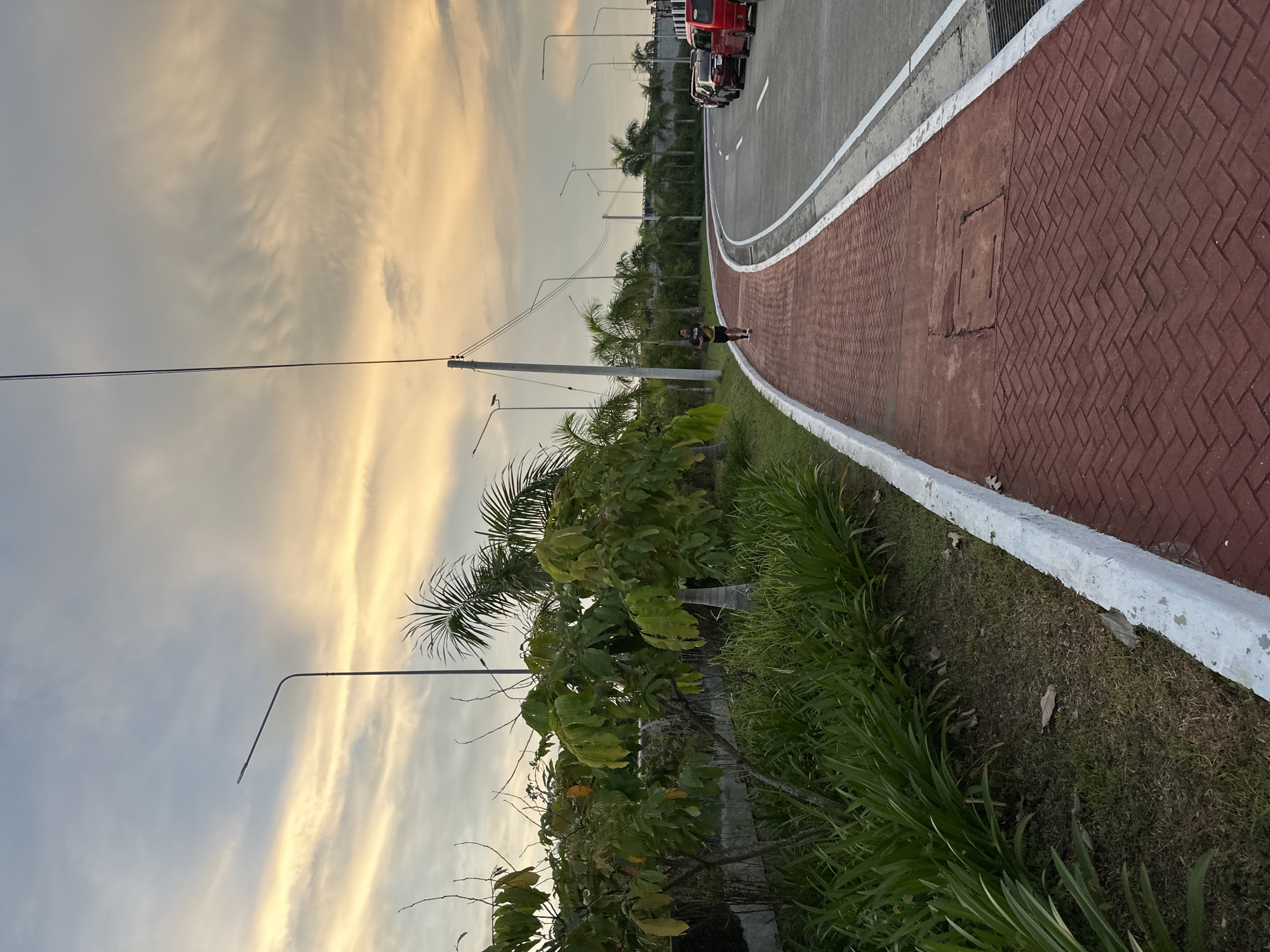 The image captures a scene in Davao City, Philippines, featuring a pedestrian walkway alongside a curved road at dusk. The walkway is paved with red bricks laid in a herringbone pattern, bordered by a white concrete curb. Lush green vegetation, including a small tree with leafy branches and tall grass-like plants, lines the left side of the walkway, separated from a dark wall by a strip of grass. In the distance, a person is seen jogging on the walkway. The road to the right features multiple parked vehicles, including cars and a red van. Overhead, streetlights and power lines are visible against a sky filled with soft, cloudy formations illuminated by the setting sun. The overall ambiance suggests an outdoor recreational area within the urban landscape of Davao City.