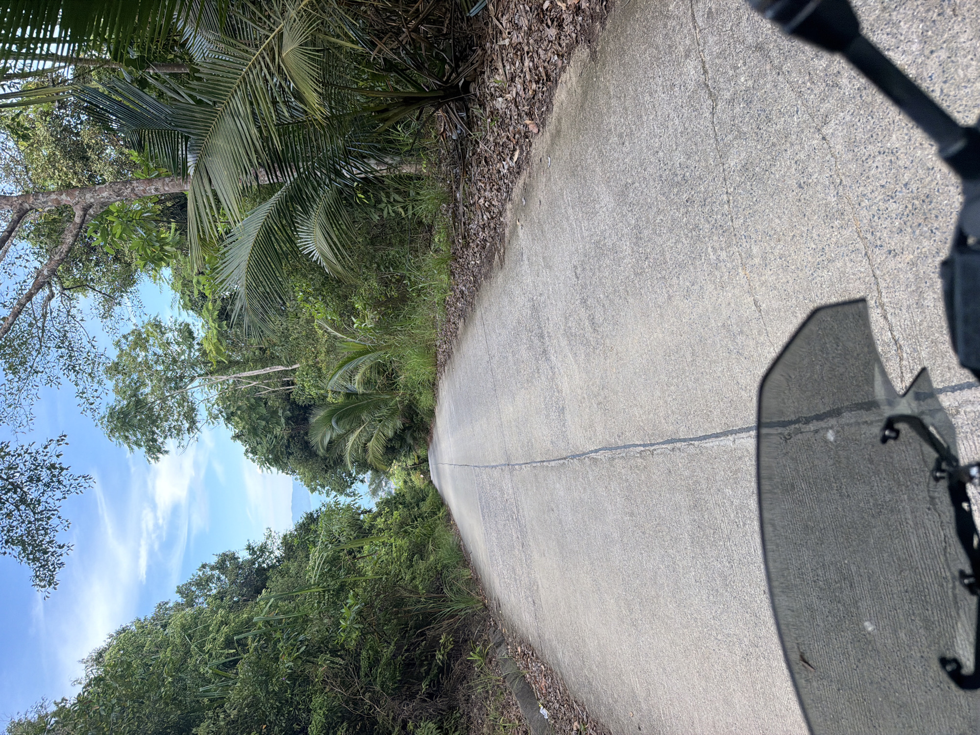 The image shows a paved road winding through a lush, tropical environment. The road is a light gray concrete with a darker gray line down the center, indicating a two-lane road. The road is bordered on both sides by dense green vegetation, including palm trees and various other tropical plants. In the distance, the blue sky is visible through gaps in the trees, with some scattered white clouds. The scene appears to be in a rural or semi-rural area, possibly a pathway to a more secluded location. The perspective suggests the image was taken from a vehicle, likely a motorcycle, due to the presence of a dark windshield in the foreground. There are no people visible in the image. The overall impression is one of a scenic, natural environment. The image is likely located in Baan Tai, Thailand, given the tropical vegetation and the context provided.