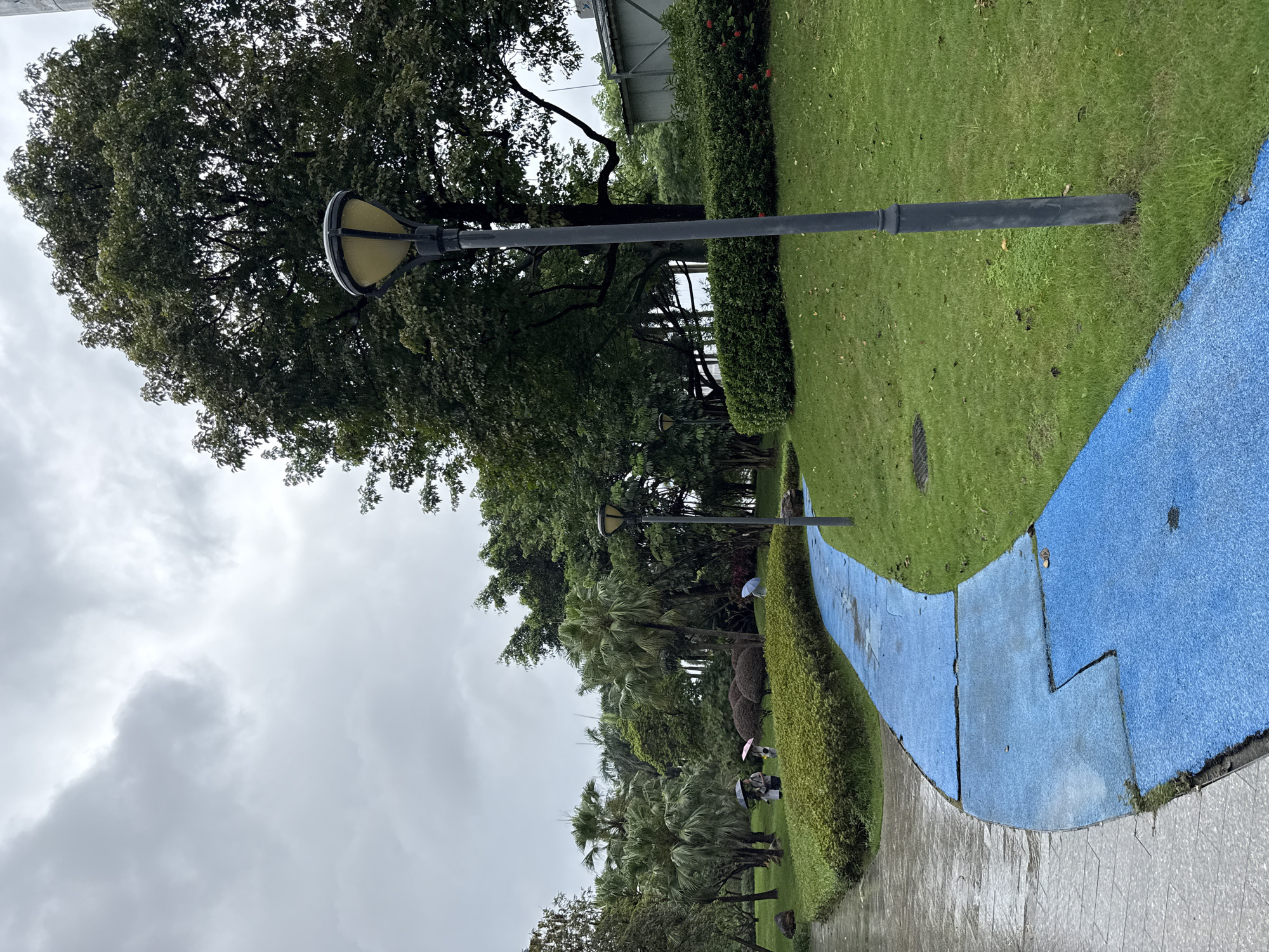 A park pathway with a blue surface curves to the right in the foreground, bordered by green grass. To the left, a wet grey pathway runs parallel. Several people with umbrellas walk in the distance, suggesting it is raining. Palm trees and other lush green foliage populate the background, with a large, dark green tree dominating the right side of the image. A streetlamp stands tall in the right foreground. The sky is overcast and grey. The scene depicts a park in Haizhu District, China, likely on a rainy day.