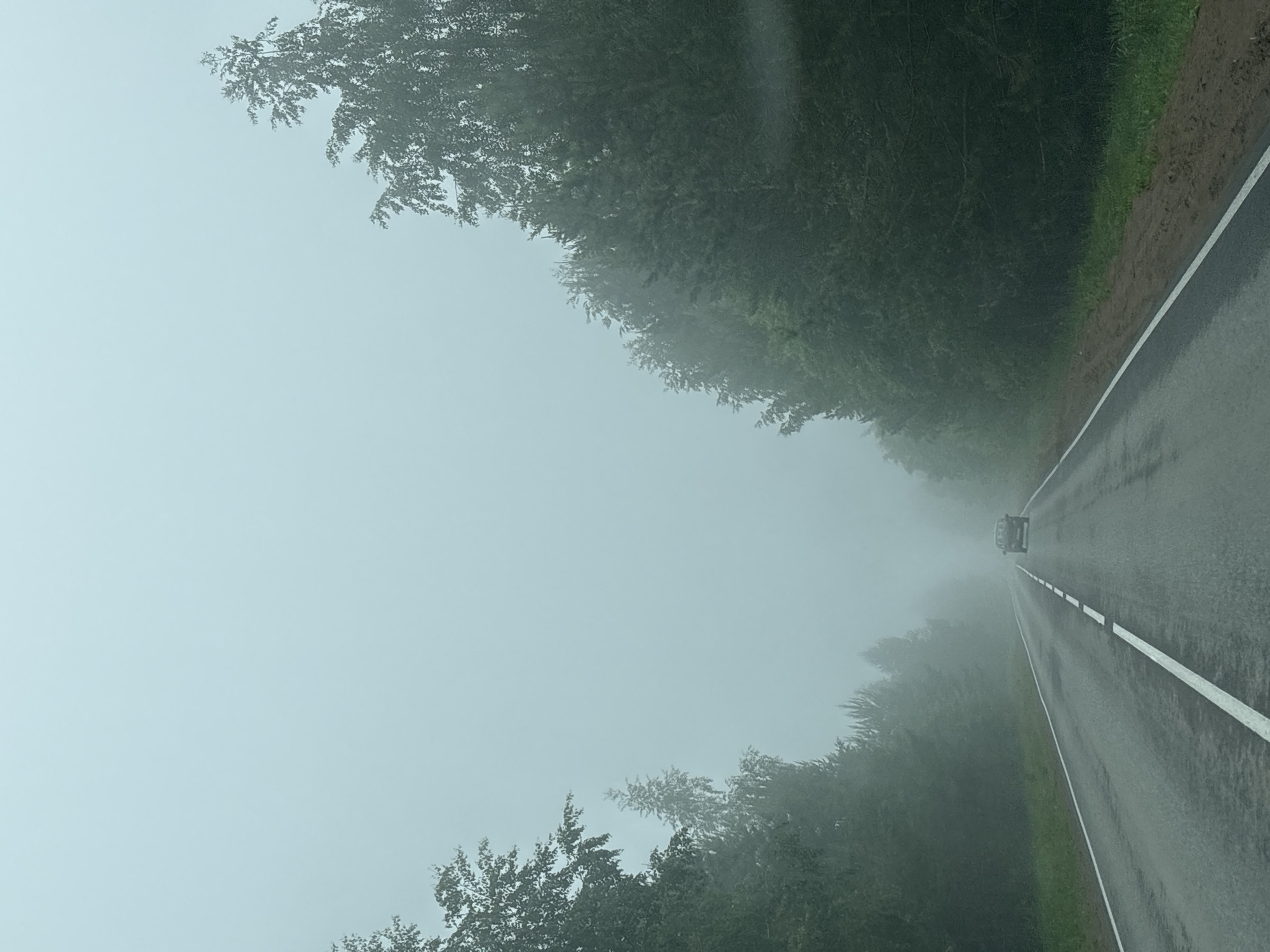 The image, when correctly oriented, depicts a straight, wet asphalt road stretching into a dense, pale blue-grey fog. The road recedes from the viewer, with a light-colored car visible in the distance, appearing to drive away and almost disappearing into the mist. On the right side of the road, a distinct white dashed line marks the edge, bordering a narrow strip of green grass that transitions into a darker, possibly muddy, verge.
Both sides of the road are lined with dense, lush green trees and foliage, their forms softened and details obscured by the pervasive mist, creating a tunnel-like effect. The fog is extremely thick, significantly reducing visibility and blending the sky seamlessly with the distant landscape. The wet appearance of the road suggests recent rain or heavy condensation from the foggy conditions.
The scene conveys a sense of quiet journey or travel through a heavily atmospheric environment. The time of day is not distinctly clear due to the overwhelming fog, but the overall subdued light suggests either an overcast day, or early morning/late afternoon. There is no visible text in the image. The setting appears rural or semi-rural, within the geographical context of Chaikovsky, Russia.
