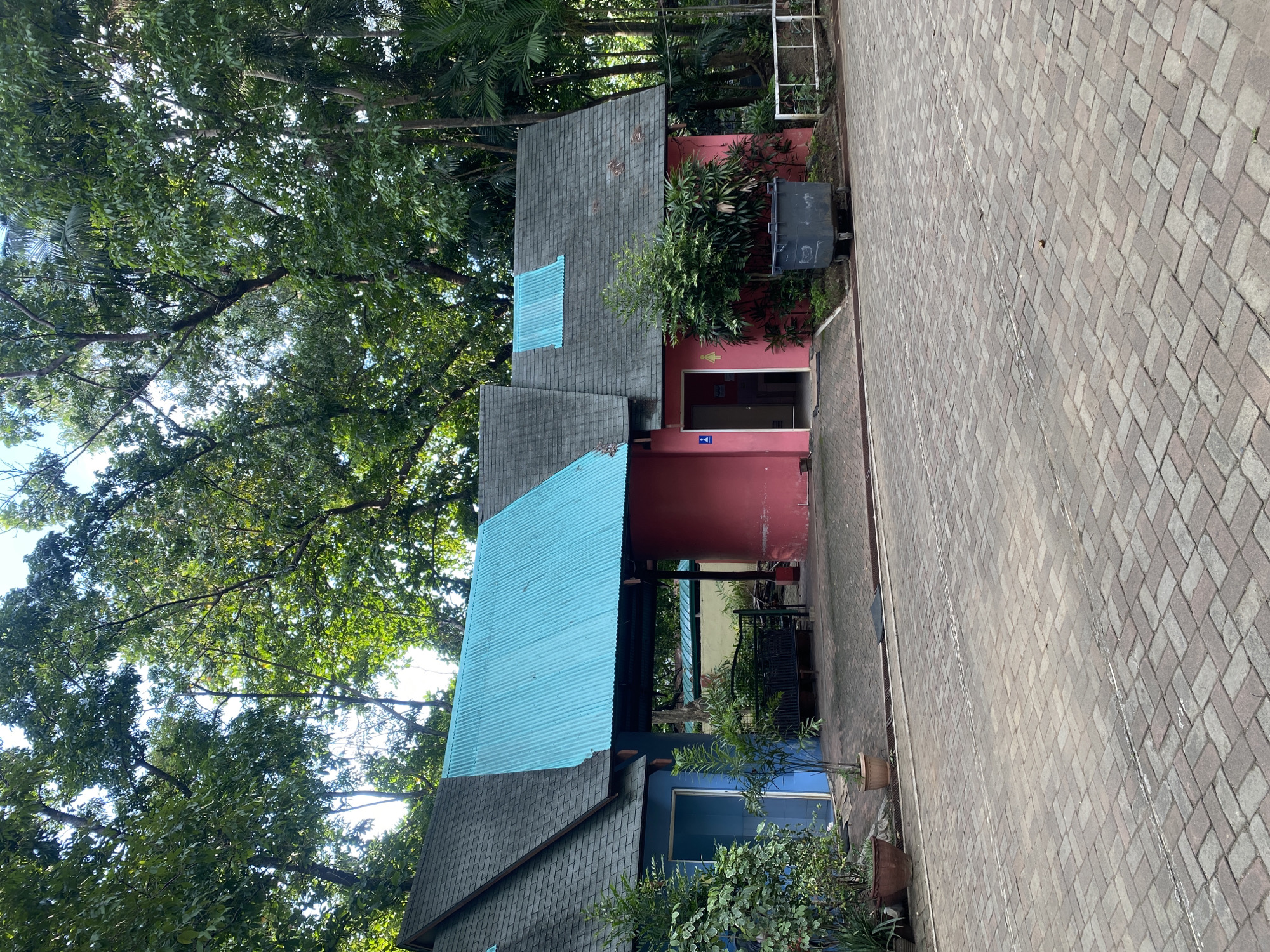 The image shows a building with a bright blue, corrugated metal roof section and a grey shingled roof section. The building is painted in sections: the left side is painted blue, and the right side is painted pink. There is an open doorway on the pink section, with symbols for men and women visible on the wall next to it. A large, dark grey dumpster is situated in front of the pink section. To the left of the building, there are plants in pots. In the background, there are mature trees providing shade. The ground in front of the building is paved with brick-like stones laid in a herringbone pattern. There is a dark bench visible under a covered walkway between the blue and pink sections of the building. The setting appears to be outdoors, possibly in a park or recreational area, with dense foliage suggesting a tropical environment consistent with Davao City, Philippines.