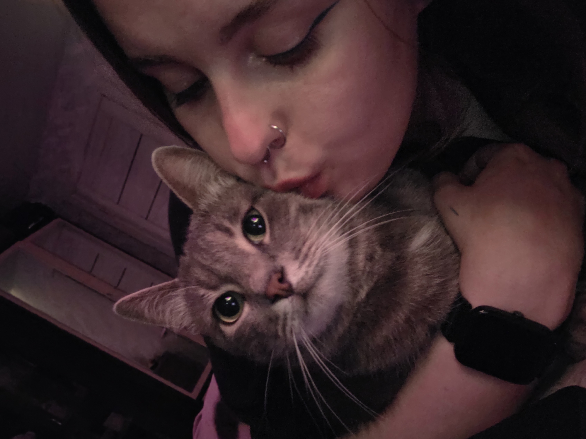 A person wearing a black smartwatch is holding a grey tabby cat and kissing its head. The person's face is partially visible, showing their closed eyes and nose piercing. The background is dark with a hint of pink lighting from an unseen source, possibly a room with pink-lit walls.