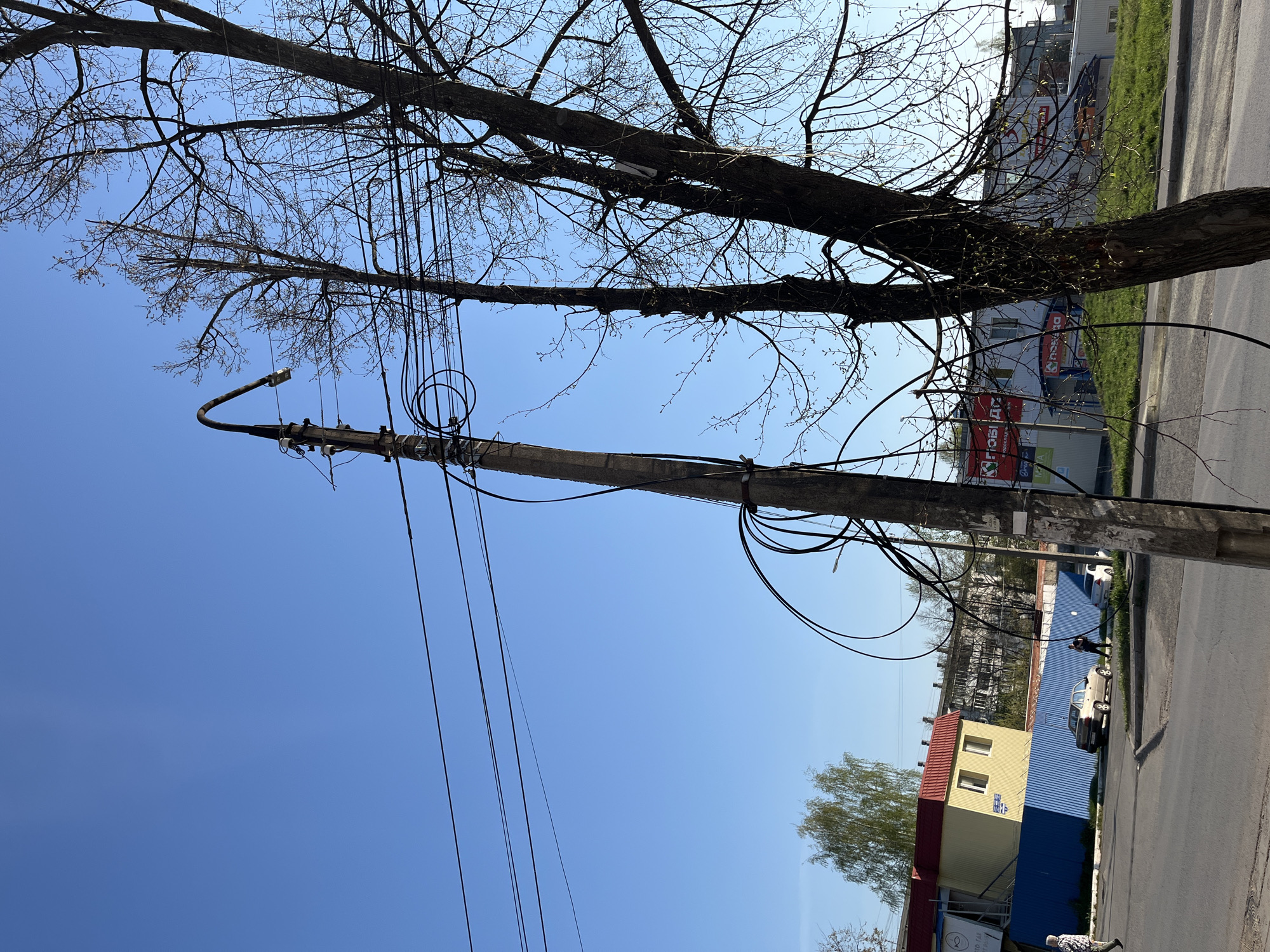 A slightly tilted, upward-angled view shows a utility pole with numerous wires attached to it. Two bare trees frame the top of the image, with a clear blue sky serving as the background. The utility pole is the central vertical element. The street is visible on the right side of the image, along with buildings, cars, and two people walking. The location is in Chaikovsky, Russia. A building with a red roof and yellow walls sits adjacent to a blue sheet metal fence. A white car is parked on the street. One person in a patterned shirt walks on the sidewalk. Another person is bent over near a car.