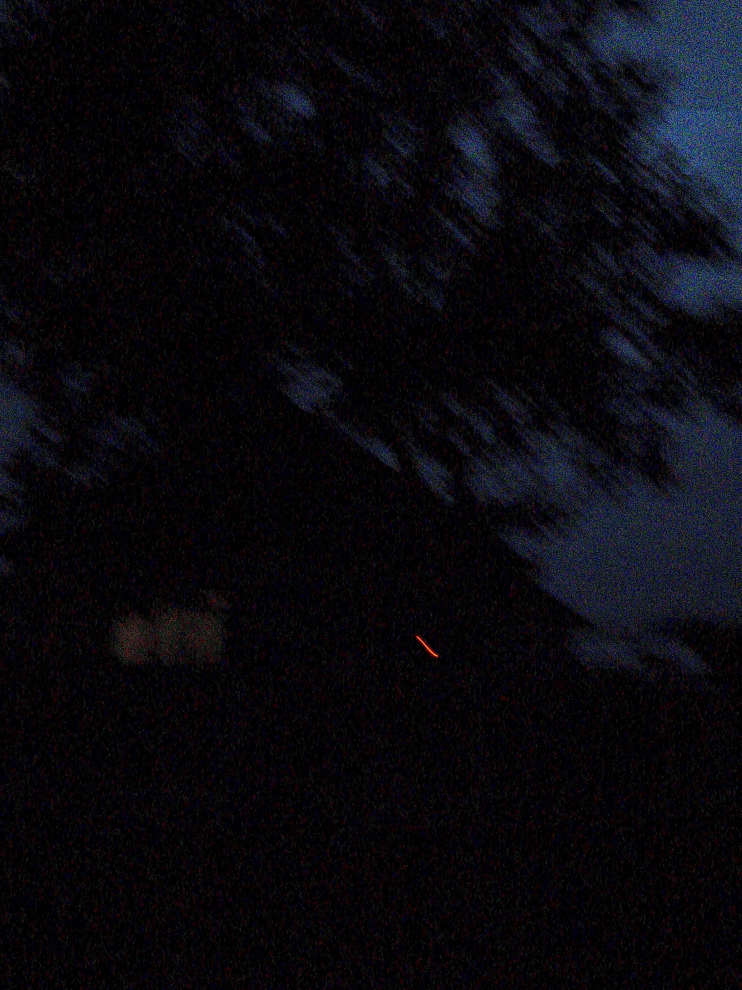 The image is a dark, grainy photograph taken outdoors at night, likely in the city of Ustyvytsia, Ukraine. A blurred, dark mass of tree branches occupies the upper portion of the frame, obscuring much of the background, which appears to be a dark, twilight sky. In the lower left quadrant, a faint, reddish-orange, curved streak is visible, possibly a light trail from a distant light source or a vehicle. There are no discernible people, specific objects, or clear actions depicted in the scene. The overall impression is one of low light conditions and a lack of distinct detail.