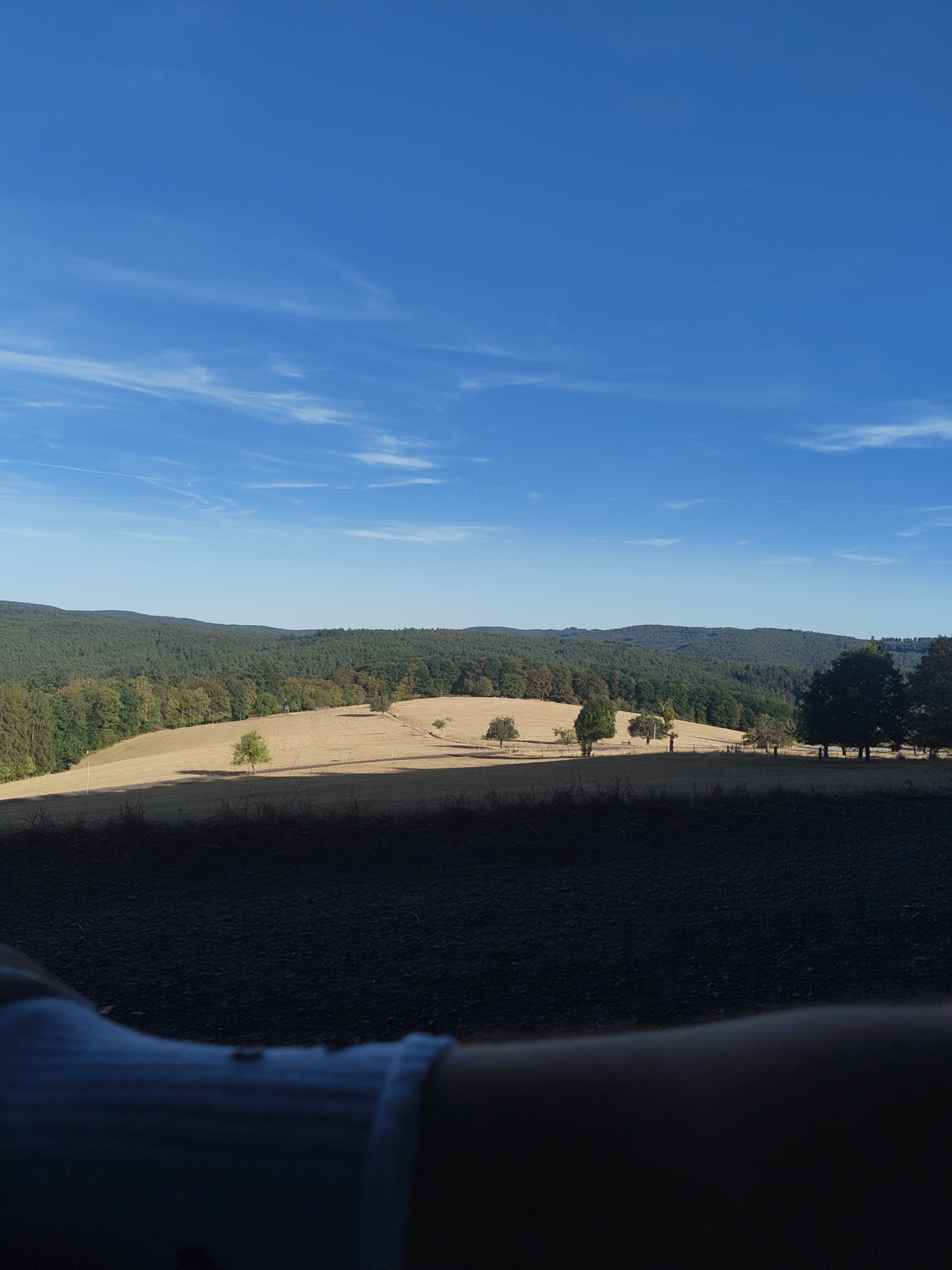 The image captures a serene, sun-drenched landscape under a clear blue sky with wispy white clouds. In the foreground, a dark, out-of-focus area suggests the presence of a person's arm or leg, partially obscuring the view. Beyond this, a gently rolling field of dry, golden grass stretches towards a line of trees. The trees form a dense forest that covers rolling hills in the middle ground, transitioning into darker, more distant hills that form the horizon. A few scattered trees dot the golden field, casting long shadows. The overall impression is one of natural beauty and tranquility. This image was taken in Heimbuchenthal, Germany.