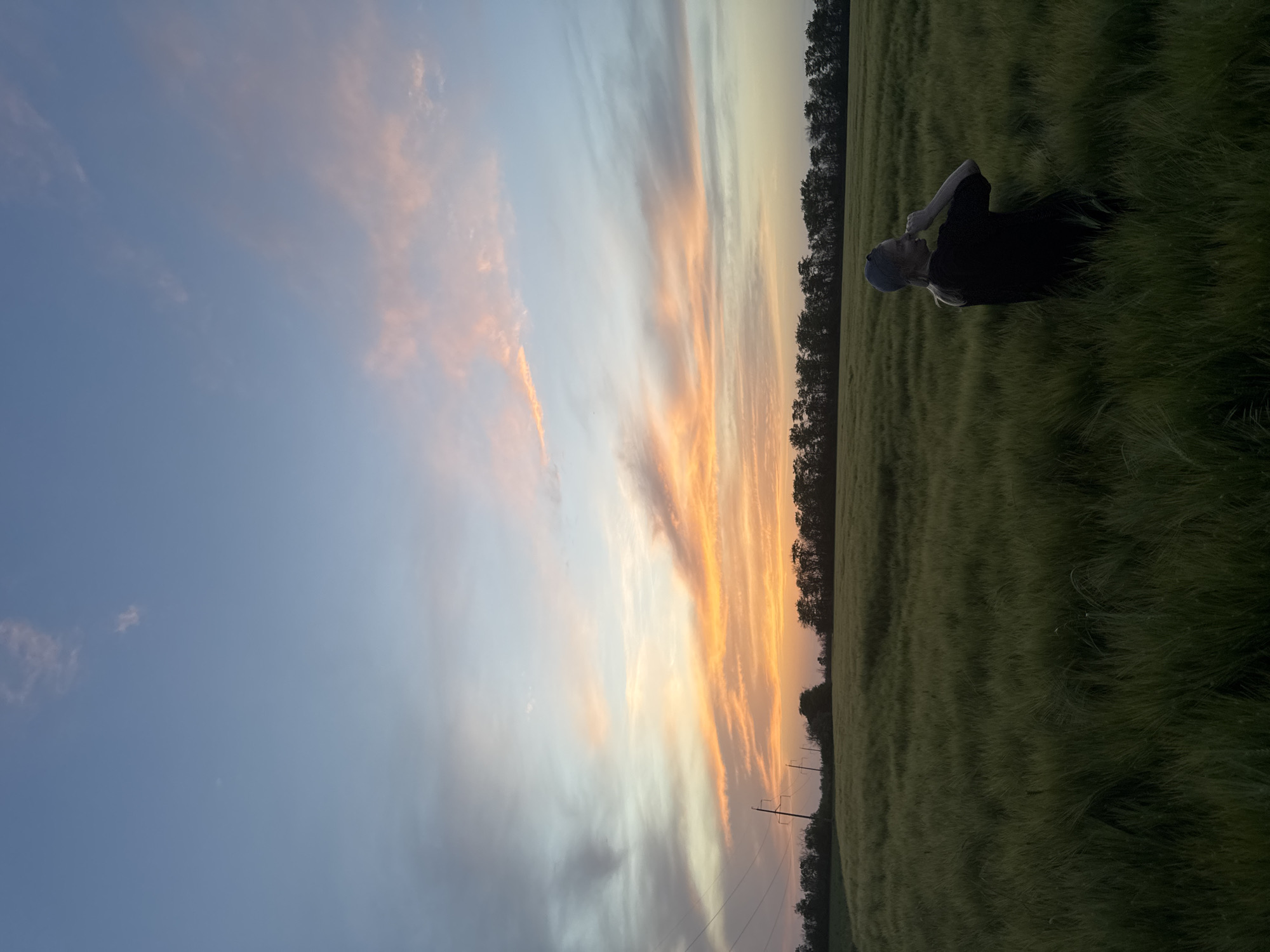 The image shows a person lying in a field of tall green grass under a sunset sky. The sky is predominantly blue with streaks of orange and pink clouds. A line of trees is visible along the horizon, separating the field from the sky. Power lines and poles are partially visible in the distance. The person is wearing dark clothing and a light-colored hat. The location might be near Beysug, Russia.
