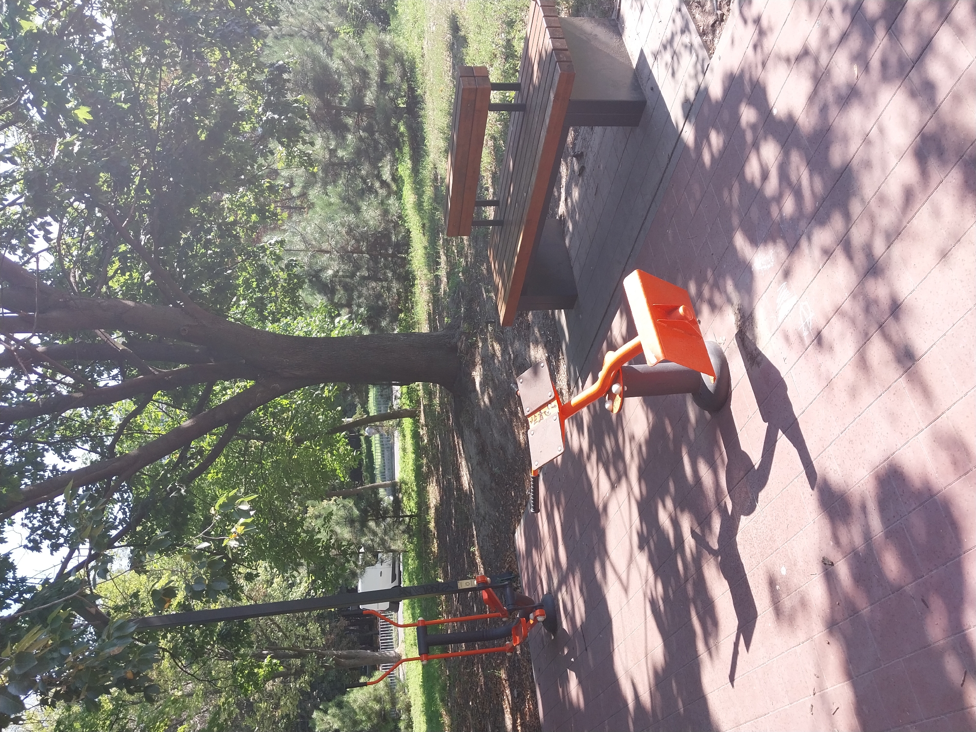 The image depicts an outdoor recreational area in Dnipro, Ukraine, on a sunny day. In the foreground, on a red tiled walkway, are two pieces of orange exercise equipment. One is an elliptical-like machine with orange handles and a central black pole. To its right is a lower piece of equipment with orange footrests and a central silver pole, casting a distinct shadow. To the right of the walkway, on a grey paved surface, sits a wooden bench with dark grey supports and a wooden backrest. Behind the bench and exercise equipment, the ground is covered in dry leaves and dirt. Several trees with lush green foliage are visible, casting dappled shadows on the ground and walkway. In the background, a white van is parked near a white metal fence, and further back, more trees and greenery can be seen. The overall scene suggests a public park or fitness area.