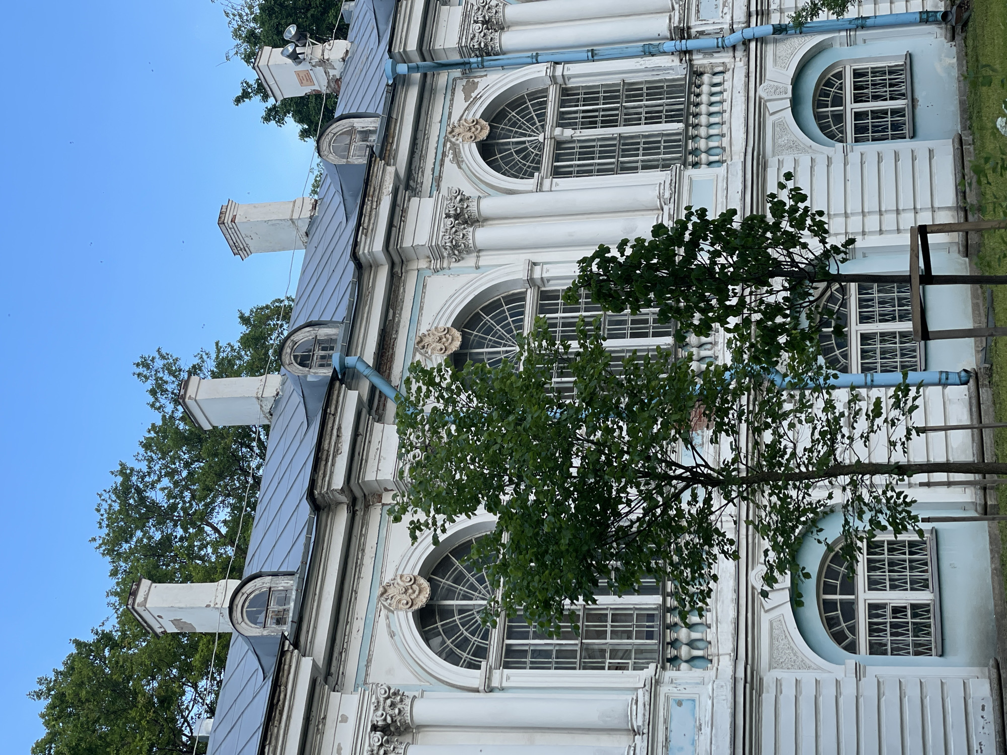 This image depicts an exterior view of a multi-story, ornate Baroque-style building, identified as part of the Smolny Convent in Saint Petersburg, Russia. The building's facade is predominantly white with light blue accents on cornices, window recesses, and lower sections, showing visible signs of wear and peeling paint.
The upper main floor features large, tall arched windows with white, multi-paned frames, each surmounted by an elaborate carved stucco cartouche. These windows are flanked by white pilasters with Corinthian capitals. The lower floor presents smaller windows set within arched light blue recesses, equipped with white multi-paned frames and protective metal grilles. A white balustrade is visible above the lower windows.
The building is topped with a steep, dark grey metal roof, which features multiple tall, white rectangular chimneys and several arched dormer windows with small, rectangular panes. One chimney on the right side of the roof has a contemporary outdoor lighting fixture attached. Bright blue vertical downspouts are prominent along the facade.
In the foreground, two young to medium-sized deciduous trees with vibrant green foliage partially obscure the building; one tree is supported by a simple wooden frame. Denser green tree canopies are visible behind the building, extending above the roofline. The ground level at the bottom of the image shows green grass. The sky is clear and light blue, with several small, dark specks visible, likely insects or dust. The scene is illuminated by bright, even natural daylight, with no people or animals present.