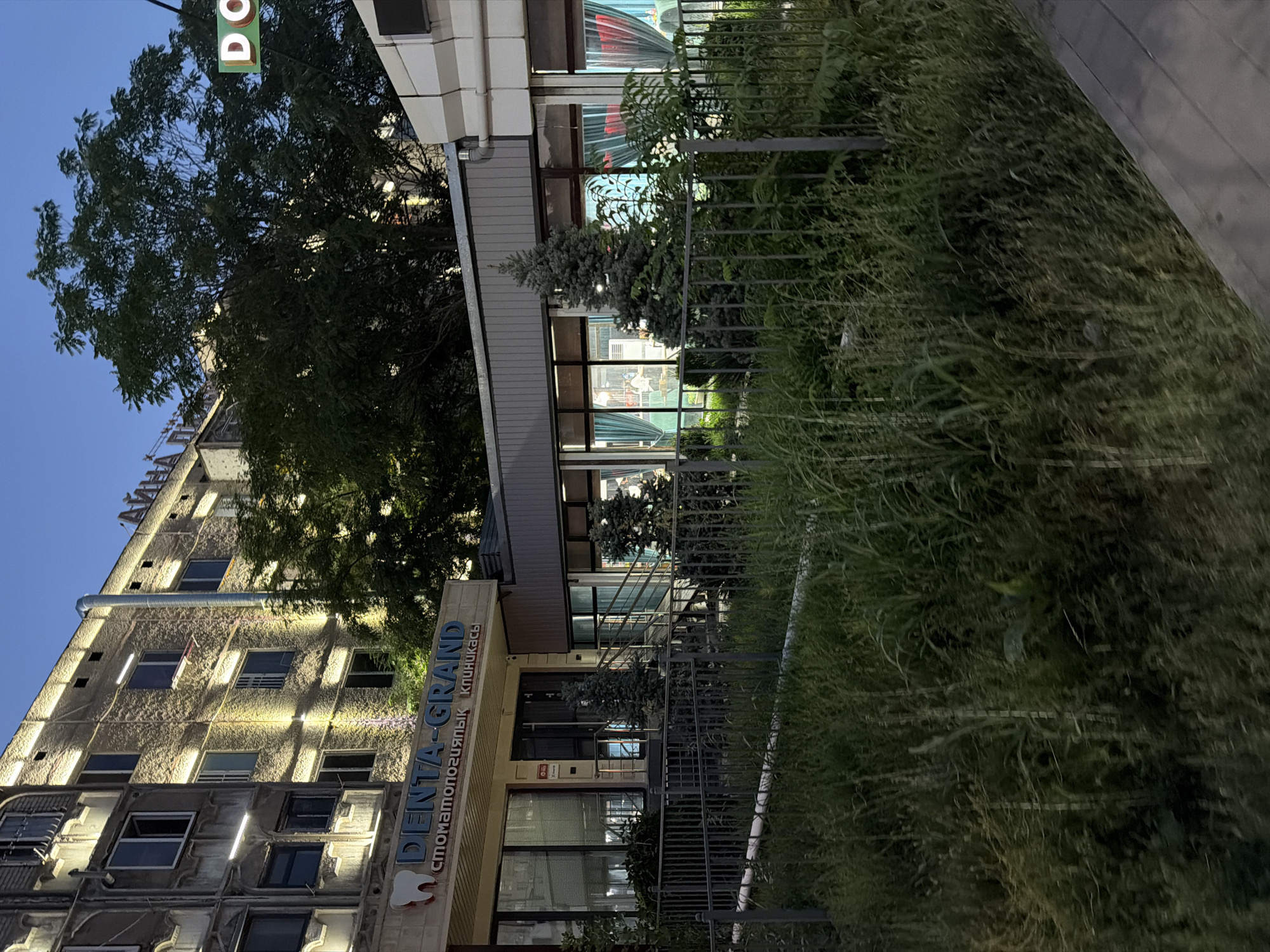 A close-up, slightly angled shot captures a building facade in the evening. The building appears to be a commercial establishment, with a sign that reads "DENTA-GRAND" in large blue letters. Below this, smaller text in Russian states "стоматологик клиникасы," indicating it's a dental clinic. A stylized tooth logo is also visible on the sign. The building's exterior is a mix of textured stone and modern siding, with multiple windows illuminated by warm artificial light, suggesting it's after sunset.
In the foreground, a dark metal fence separates the building from a dense area of tall, lush green grass, which fills a significant portion of the frame and extends out of focus. To the left of the building, a large tree with dark green foliage is prominent, casting shadows. Above the tree, a green sign with a white "DO" is visible, seemingly a street sign or part of an external advertisement. The sky is a deep blue, indicating dusk or early evening. The overall impression is of a well-lit commercial area in a somewhat urban environment, with natural elements like the tree and grass adding texture. The image appears to be taken in Shymkent, Kazakhstan, as indicated by the location context.