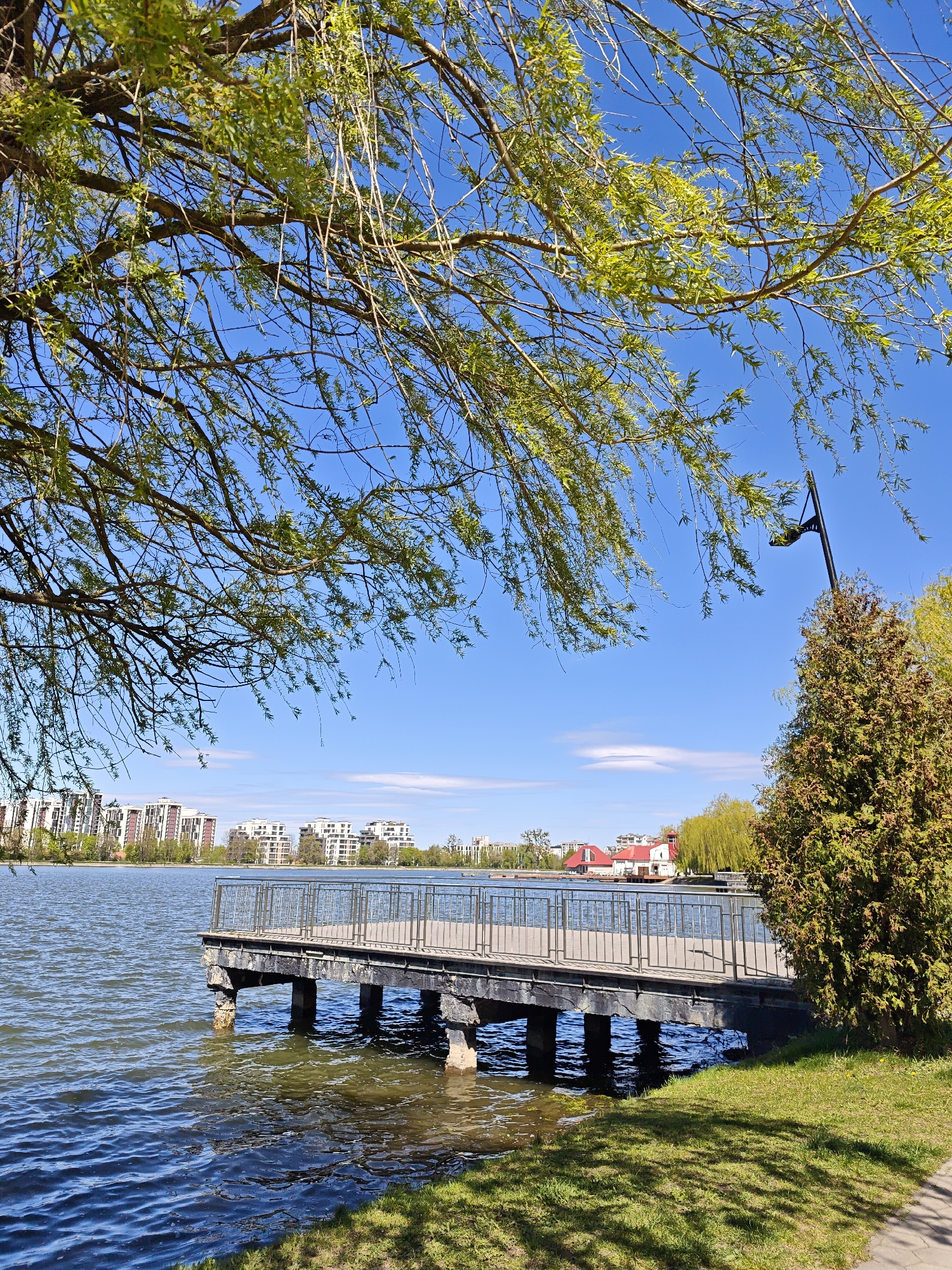 The image shows a park scene in Ivano-Frankivsk, Ukraine. A wooden pier extends into a body of water, likely a lake or pond. The pier has a metal railing. In the background, there are buildings, some with red roofs. The sky is clear and blue with a few clouds. In the foreground, there is a tree with light green leaves, partially framing the scene on the left. To the right of the pier is a coniferous tree and a light post. The grass is green and manicured.