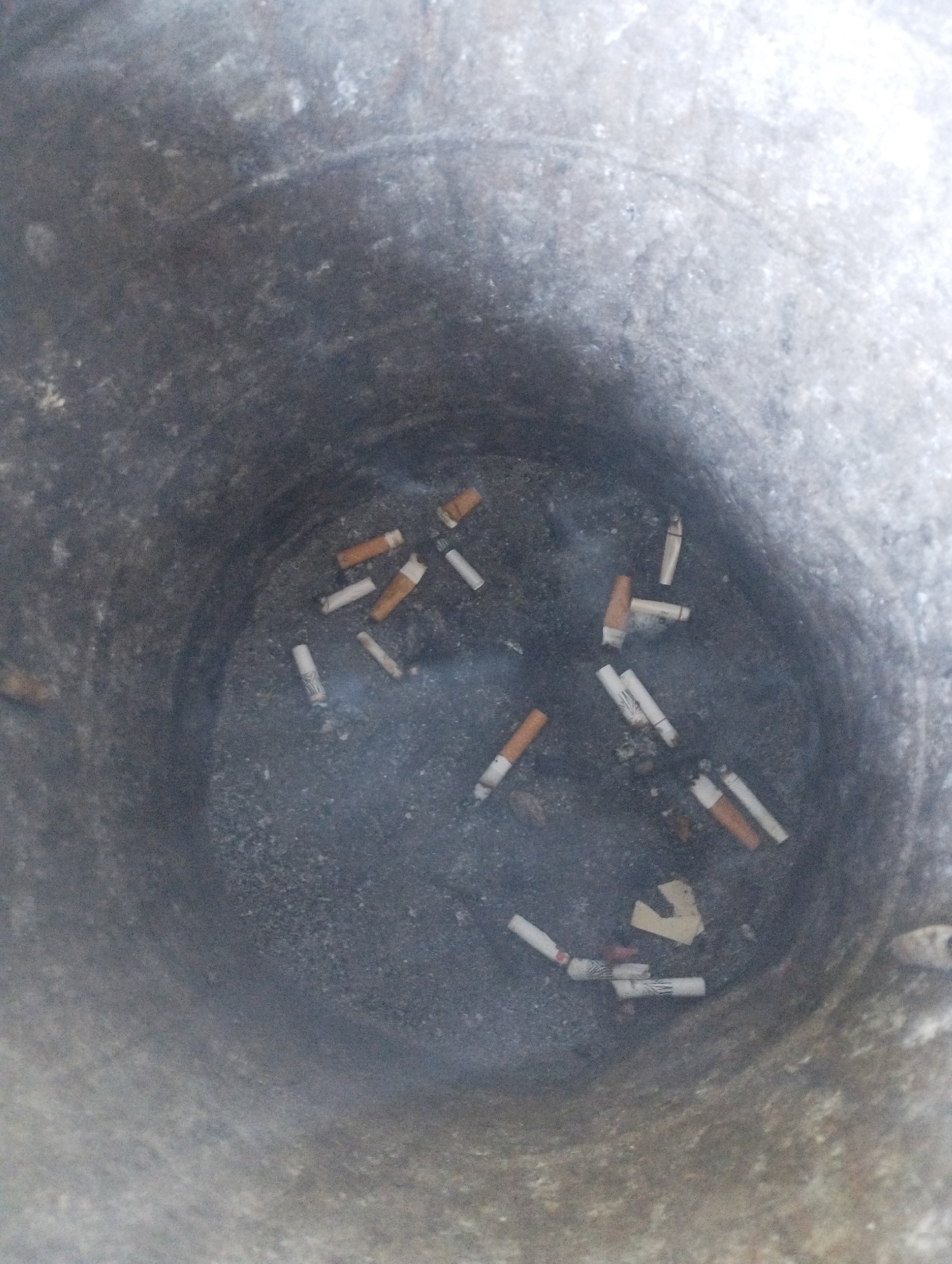 The image shows the inside of a cylindrical metal ash receptacle filled with cigarette butts and ash. The receptacle appears to be made of weathered metal with a textured surface. The cigarette butts are of various stages of being smoked, with some still having a portion of the orange filter visible and others being mostly white. There are small wisps of smoke visible in the ash, suggesting that some of the cigarettes may have recently been extinguished. The ash receptacle is located outdoors, as evidenced by the natural lighting and the absence of any indoor structures. The specific location in the city of Homyel, Belarus, cannot be determined from the image alone.