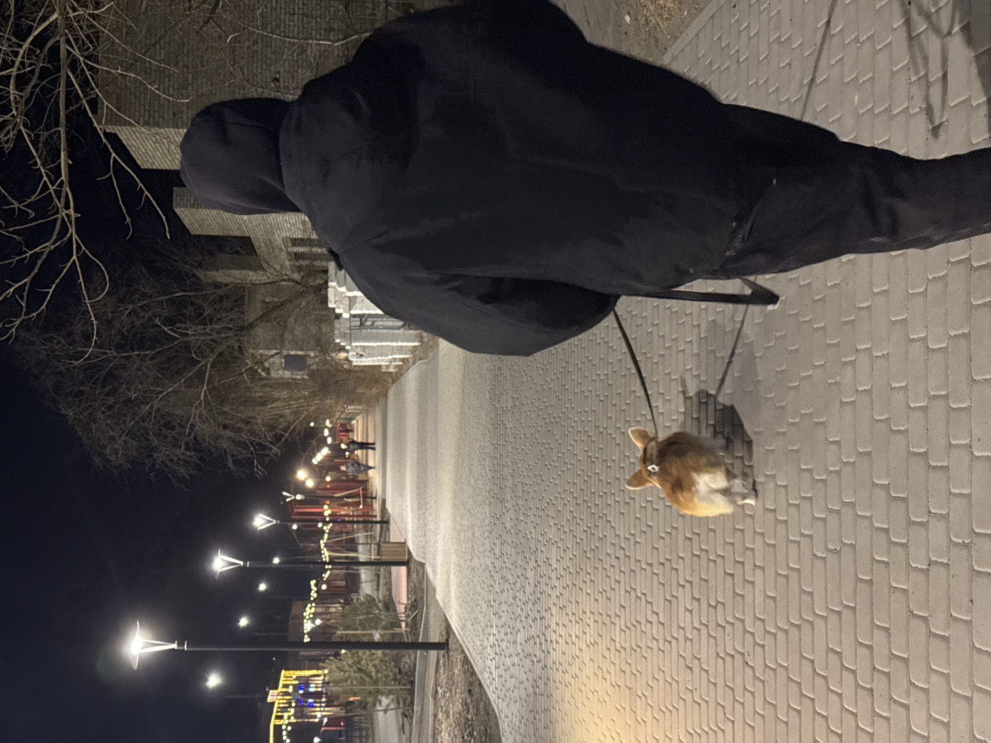 A person wearing a black hooded jacket walks a brown and white rabbit on a leash along a brick-paved path in Borzya, Russia. The path is lined with streetlights and festive decorations, suggesting it is a public area, possibly a park or pedestrian zone. Other people can be seen walking in the distance. The image appears to have been taken at night.