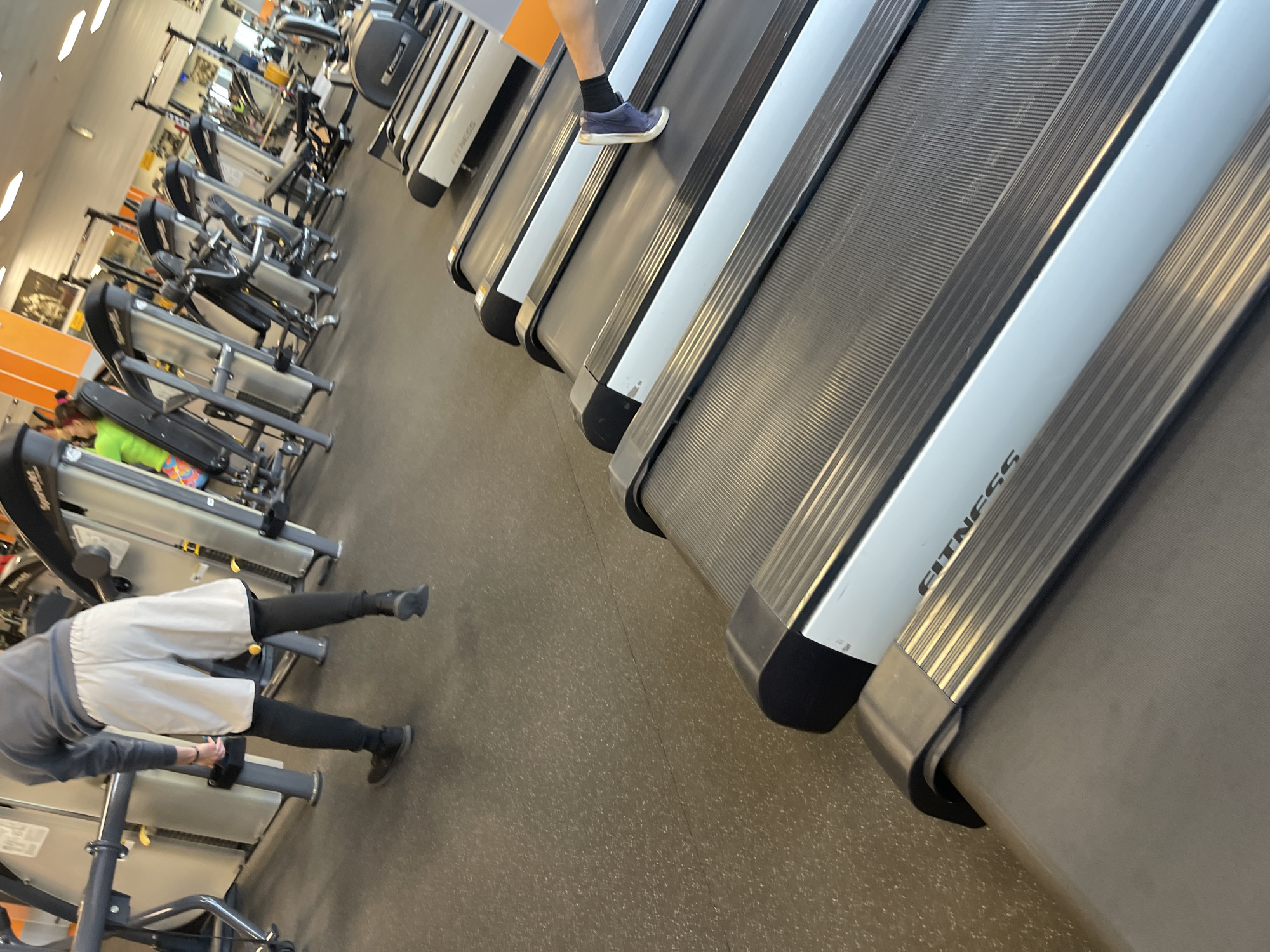 The image shows a gym with a row of treadmills dominating the right side of the frame. "FITNESS" is visible on the side of one of the treadmills. A person is walking on one of the treadmills, visible from the knees down. Several other exercise bikes and machines are visible on the left side. Another person is sitting on an exercise machine. The floor is a solid color, appearing to be rubberized. The environment suggests an indoor gym facility, but no specific details indicate it being in Krasnoyarsk, Russia.